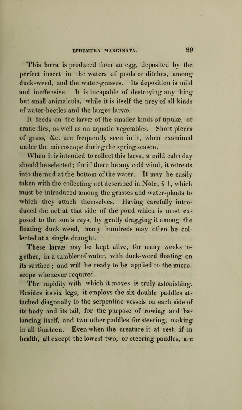 This larva is produced from an egg, deposited by the perfect insect in the waters of pools or ditches, among duck-weed, and the water-grasses. Its deposition is mild and inoffensive. It is incapable of destroying any thing but small animalcula, while it is itself the prey of all kinds of water-beetles and the larger larvae. It feeds on the larvae of the smaller kinds of tipulae, or crane flies, as well as on aquatic vegetables. Short pieces of grass, &c. are frequently seen in it, when examined under the microscope during the spring season. When it is intended to collect this larva, a mild calm day should be selected; for if there beany cold wind, it retreats into the mud at the bottom of the water. It may be easily taken with the collecting net described in Note, § 1, which must be introduced among the grasses and water-plants to which they attach themselves. Having carefully intro- duced the net at that side of the pond which is most ex- posed to the sun’s rays, by gently dragging it among the floating duck-weed, many hundreds may often be col- lected at a single draught. These larvae may be kept alive, for many weeks to- gether, in a tumbler of water, with duck-weed floating on its surface ; and will be ready to be applied to the micro- scope whenever required. The rapidity with which it moves is truly astonishing. Besides its six legs, it employs the six double paddles at- tached diagonally to the serpentine vessels on each side of its body and its tail, for the purpose of rowing and ba- lancing itself, and two other paddles for steering, making in all fourteen. Even when the creature it at rest, if in health, all except the lowest two, or steering paddles, are