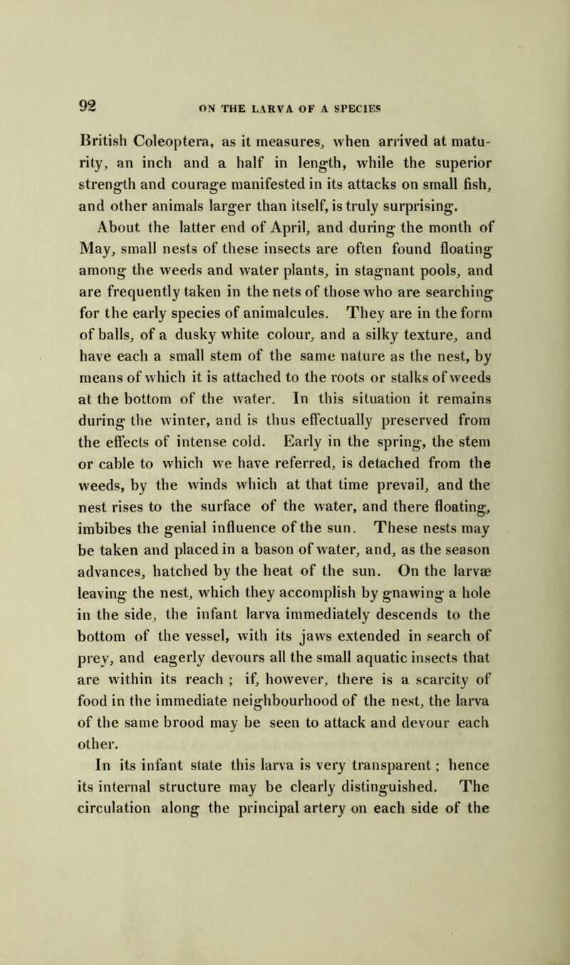 British Coleoptera, as it measures, when arrived at matu- rity, an inch and a half in length, while the superior strength and courage manifested in its attacks on small fish, and other animals larger than itself, is truly surprising. About the latter end of April, and during the month of May, small nests of these insects are often found floating among the weeds and water plants, in stagnant pools, and are frequently taken in the nets of those who are searching for the early species of animalcules. They are in the form of balls, of a dusky white colour, and a silky texture, and have each a small stem of the same nature as the nest, by means of which it is attached to the roots or stalks of weeds at the bottom of the water. In this situation it remains during the winter, and is thus effectually preserved from the effects of intense cold. Early in the spring, the stem or cable to which we have referred, is detached from the weeds, by the winds which at that time prevail, and the nest rises to the surface of the water, and there floating, imbibes the genial influence of the sun. These nests may be taken and placed in a bason of water, and, as the season advances, hatched by the heat of the sun. On the larvae leaving the nest, which they accomplish by gnawing a hole in the side, the infant larva immediately descends to the bottom of the vessel, with its jaws extended in search of prey, and eagerly devours all the small aquatic insects that are within its reach ; if, however, there is a scarcity of food in the immediate neighbourhood of the nest, the larva of the same brood may be seen to attack and devour each other. In its infant state this larva is very transparent; hence its internal structure may be clearly distinguished. The circulation along the principal artery on each side of the