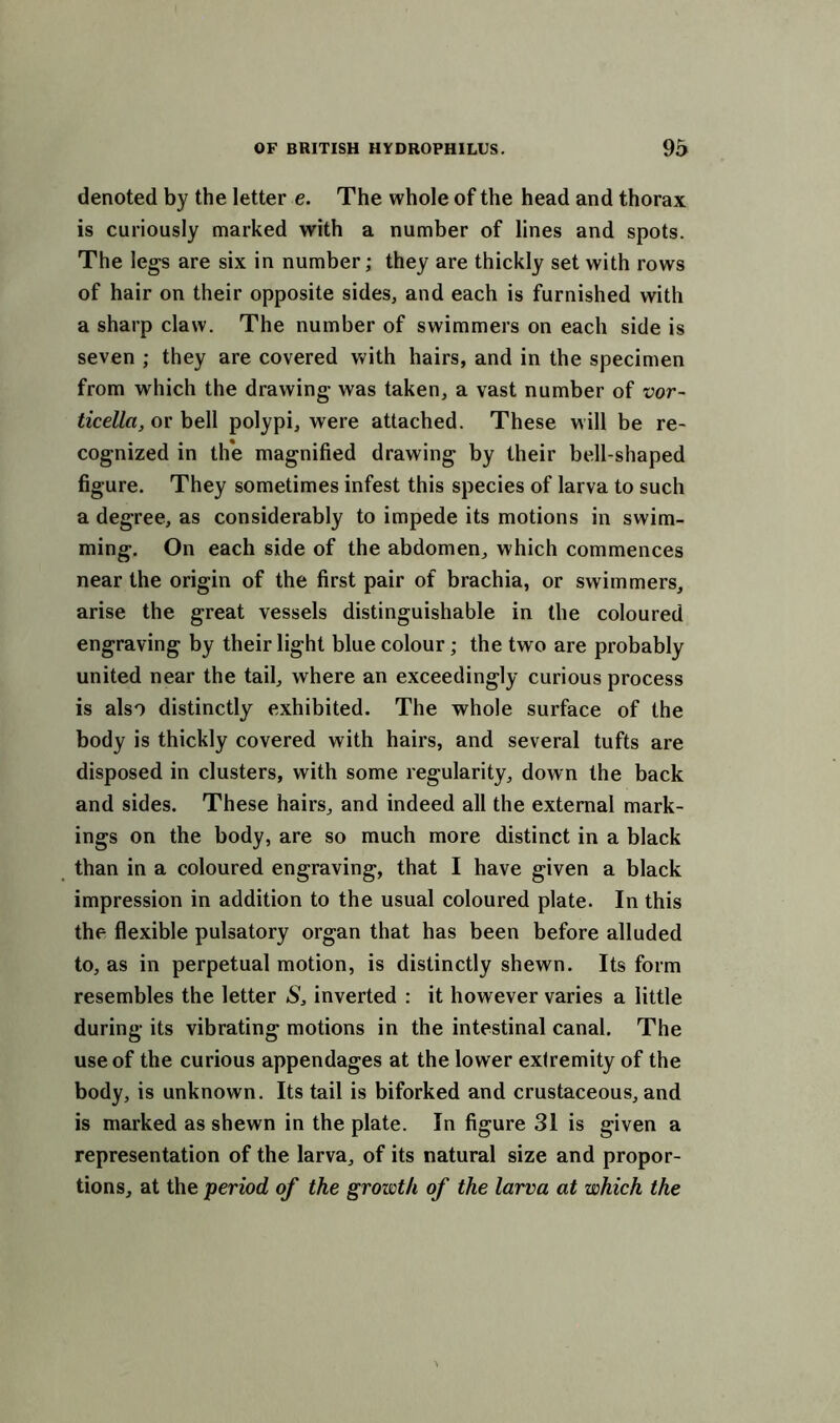 denoted by the letter e. The whole of the head and thorax is curiously marked with a number of lines and spots. The legs are six in number; they are thickly set with rows of hair on their opposite sides, and each is furnished with a sharp claw. The number of swimmers on each side is seven ; they are covered with hairs, and in the specimen from which the drawing- was taken, a vast number of vor~ ticella, or bell polypi, were attached. These will be re- cognized in th*e magnified drawing by their bell-shaped figure. They sometimes infest this species of larva to such a degree, as considerably to impede its motions in swim- ming. On each side of the abdomen, which commences near the origin of the first pair of brachia, or swimmers, arise the great vessels distinguishable in the coloured engraving by their light blue colour ; the two are probably united near the tail, where an exceedingly curious process is also distinctly exhibited. The whole surface of the body is thickly covered with hairs, and several tufts are disposed in clusters, with some regularity, down the back and sides. These hairs, and indeed all the external mark- ings on the body, are so much more distinct in a black than in a coloured engraving, that I have given a black impression in addition to the usual coloured plate. In this the flexible pulsatory organ that has been before alluded to, as in perpetual motion, is distinctly shewn. Its form resembles the letter S, inverted : it however varies a little during its vibrating motions in the intestinal canal. The use of the curious appendages at the lower extremity of the body, is unknown. Its tail is biforked and crustaceous, and is marked as shewn in the plate. In figure 31 is given a representation of the larva, of its natural size and propor- tions, at the period of the growth of the larva at which the