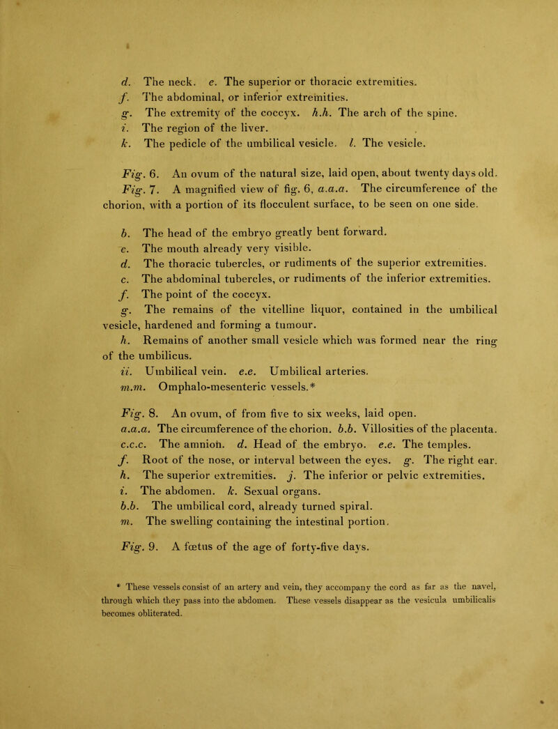 d. The neck. e. The superior or thoracic extremities. f. The abdominal, or inferior extremities. g. The extremity of the coccyx, h.h. The arch of the spine. i. The region of the liver. k. The pedicle of the umbilical vesicle. 1. The vesicle. Fig. 6. An ovum of the natural size, laid open, about twenty days old. Fig. 7. A magnified view of fig. 6, a.a.a. The circumference of the chorion, with a portion of its flocculent surface, to be seen on one side. b. The head of the embryo greatly bent forward. c. The mouth already very visible. d. The thoracic tubercles, or rudiments of the superior extremities, c. The abdominal tubercles, or rudiments of the inferior extremities. f. The point of the coccyx. g. The remains of the vitelline liquor, contained in the umbilical vesicle, hardened and forming a tumour. h. Remains of another small vesicle which was formed near the rin<r o of the umbilicus. ii. Umbilical vein. e.e. Umbilical arteries. m.m. Omphalo-mesenteric vessels.* Fig. 8. An ovum, of from five to six weeks, laid open. a. a.a. The circumference of the chorion, b.b. Villosities of the placenta. c.c.c. The amnioh. d. Head of the embryo, e.e. The temples. f. Root of the nose, or interval between the eyes. g. The right ear. h. The superior extremities, j. The inferior or pelvic extremities. i. The abdomen, lc. Sexual organs. b. b. The umbilical cord, already turned spiral. m. The swelling containing the intestinal portion. Fig. 9. A foetus of the age of forty-five days. * These vessels consist of an artery and vein, they accompany the cord as far as the navel, through which they pass into the abdomen. These vessels disappear as the vesieula umbilicalis becomes obliterated.