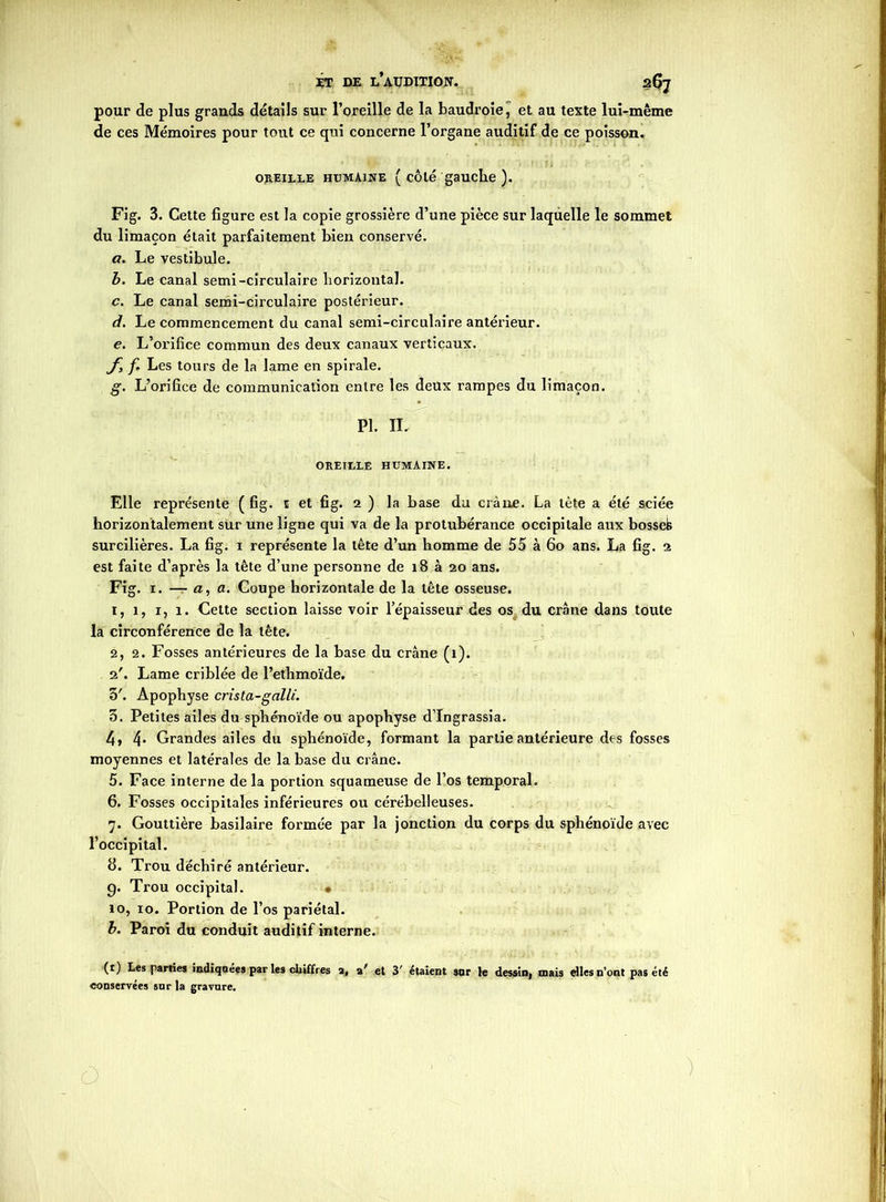 ET DE L AUDITION. 20J pour de plus grands détails sur l’oreille de la baudroie, et au texte lui-même de ces Mémoires pour tout ce qui concerne l’organe auditif de ce poisson. OREILLE HUMAINE ( CÔté gauche ). Fig. 3. Cette figure est la copie grossière d’une pièce sur laquelle le sommet du limaçon était parfaitement bien conservé. a. Le vestibule. b. Le canal semi-circulaire horizontal. c. Le canal semi-circulaire postérieur. d. Le commencement du canal semi-circulaire antérieur. e. L’orifice commun des deux canaux verticaux. f, f* Les tours de la lame en spirale. g. L’orifice de communication entre les deux rampes du limaçon. PI. IL OREILLE HUMAINE. Elle représente ( fig. i et fig. 2 ) la base du crâne. La tète a été sciée horizontalement sur une ligne qui va de la protubérance occipitale aux bosseis surcilières. La fig. i représente la tête d’un homme de 55 à 60 ans. La fig. 2 est faite d’après la tête d’une personne de 18 à 20 ans. Fig. 1. — a, a. Coupe horizontale de la tête osseuse. t, 1, 1, 1. Celte section laisse voir l’épaisseur des os du crâne dans toute la circonférence de la tête. 2, 2. Fosses antérieures de la base du crâne (1). 2'. Lame criblée de l’ethmoïde. 3'. Apophyse crista-galli. 3. Petites ailes du sphénoïde ou apophyse d’Ingrassia. 4» 4* Grandes ailes du sphénoïde, formant la partie antérieure des fosses moyennes et latérales de la base du crâne. 5. Face interne de la portion squameuse de l’os temporal. 6. Fosses occipitales inférieures ou cérébelleuses. 7. Gouttière basilaire formée par la jonction du corps du sphénoïde avec l’occipital. 8. Trou déchiré antérieur. g. Trou occipital. • 10, 10. Portion de l’os pariétal. b. Paroi du conduit auditif interne. (t) Les parties indiquées par les chiffres a, a/ et 3' étaient sar le dessin, mais elles n’ont pas été conservées sur la gravure.