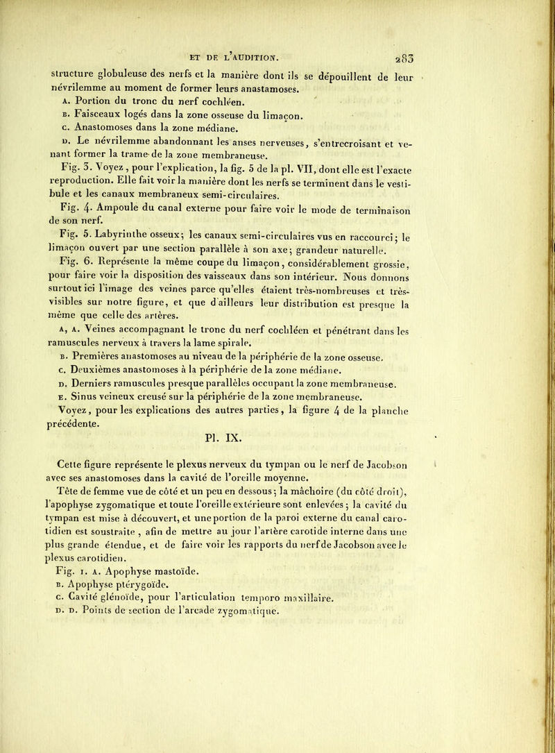 ET DE l’aüDITIOIY. 2P,3 structure globuleuse des nerfs et la manière dont ils se dépouillent de leur névrilemme au moment de former leurs anastamoses. A. Portion du tronc du nerf cochléen. b. Faisceaux logés dans la zone osseuse du limaçon. c. Anastomoses dans la zone médiane. n. Le névrilemme abandonnant les anses nerveuses, s’entrecroisant et ve- nant former la trame-de la zone membraneuse. Fig. 3. Voyez , pour l’explication, la fig. 5 de la pl. VII, dont elle est l’exacte reproduction. Elle fait voir la maniéré dont les nerfs se terminent dans le vesti- bule et les canaux membraneux semi-circulaires. Fig. 4* Ampoule du canal externe pour faire voir le mode de terminaison de son nerf. Fig. 5. Labyrinthe osseux; les canaux semi-circulaires vus en raccourci ; le limaçon ouvert par une section parallèle à son axe; grandeur naturelle. Fig. 6. Représente la même coupe du limaçon, considérablement grossie, pour faire voir la disposition des vaisseaux dans son intérieur. Nous donnons surtout ici 1 image des veines parce qu’elles étaient très-nombreuses et très- visibles sur notre figure, et que d ailleurs leur distribution est presque la même que celle des artères. A, a. Veines accompagnant le tronc du nerf cocbléen et pénétrant dans les ramuscules nerveux à travers la lame spirale. b. Premières anastomoses au niveau de la périphérie de la zone osseuse. c. Deuxièmes anastomoses à la périphérie de la zone médiane. d. Derniers ramuscules presque parallèles occupant la zone membraneuse. e. Sinus veineux creusé sur la périphérie de la zone membraneuse. Voyez, pour les explications des autres parties, la figure 4 de la planche précédente. Pl. IX. Cette figure représente le plexus nerveux du tympan ou le nerf de Jacobson avec ses anastomoses dans la cavité de l’oreille moyenne. Tête de femme vue de côté et un peu en dessous ; la mâchoire (du côté droit), l’apophyse zygomatique et toute l’oreille extérieure sont enlevées; la cavité du tympan est mise à découvert, et une portion de la paroi externe du canal caro- tidien est soustraite , afin de mettre au jour l’artère carotide interne dans une plus grande étendue, et de faire voir les rapports du nerf de Jacobson avec le plexus carotidien. Fig. i. a. Apophyse raastoïde. b. Apophyse plérygoïde. c. Cavité glénoïde, pour l’articulation temporo maxillaire. d. d. Points de section de l’arcade zygomatique.