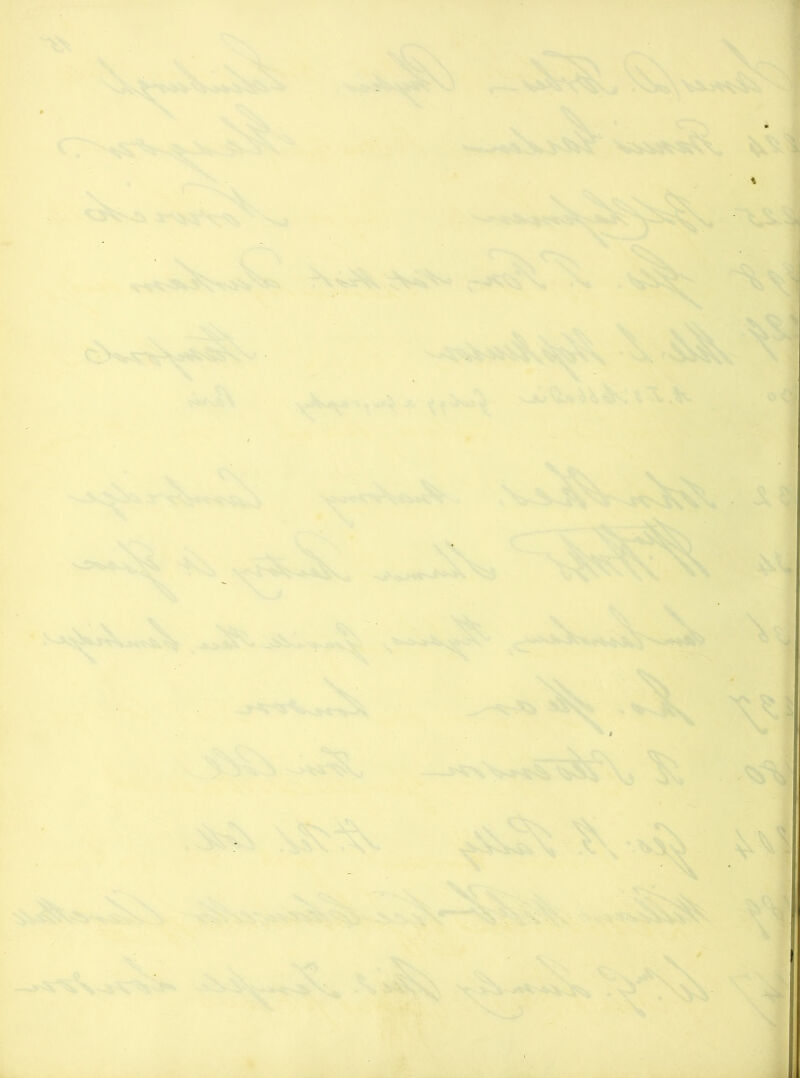 r V ,v-, -, ...v, ;'•■ ' Nw V '. ■ ' S^■ -■..- > .'S. ■ ' * i^^',''''^ff ,,V It:*:' . ' ‘S .S. ^ '