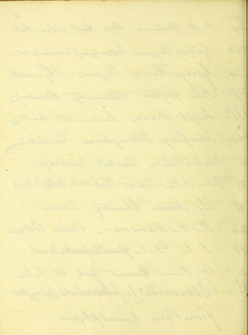 ■ w. ‘ -I, »‘ ' '* C'- * ^ \  ' ' r- \ ■ ■ ■ ^ V . ■ -■■' ' ■•5»- ..-.■iV-a >VW ■ ■■*.■-■ . ■ -'>~4;% '■'^, ' \! -«b -. v^ ». . ' • ' . \ . . V 'rV^'NTw^* rT- ■; '-X ' * ...'•■^' ..‘.l3i .'V . •''^ \’' '*^-. f’j -jIv- : ■ JT •-X 'y ^ -'■<• ^ . ,'X- ■