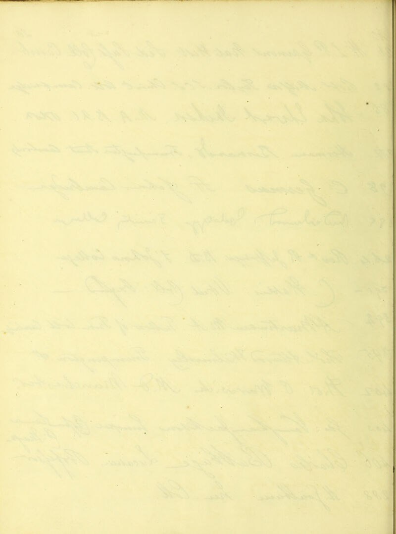 .'v -iv. ■> '■■ ; ■■•':■,. ' K>SSS!*^ ^■^i...1\’'^ .iv, V -i \ > >• ; V: \ v*^ ■V •' l%„ »■■ »■ ■ ■■ lO^Vf* ■J^-'^^v -> s \ X.. •*!tr . V ^ ’ ,^,.w^' 'C, V- ' /: f< <i-'v ' ''^ <■1 ;*4 - •• S,'; :ls\ ' ' 'V^S^ *ir >>w^- ■ jr k . > O'^joi'-’^i r J -^\ ■?^t<^^.*'''i ->.:i\ '•