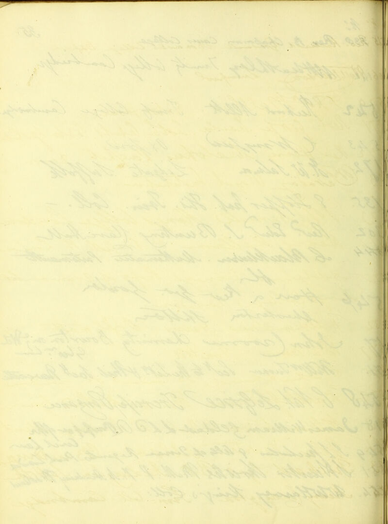 0. I ,••4 -■’<' :^, ■ >€^ S^' .A n:''^^. .«5X > ^-1*. 4s, », -v^' ‘-it. i r#£\ '•’'«^'S»--. O'' ^VrfP