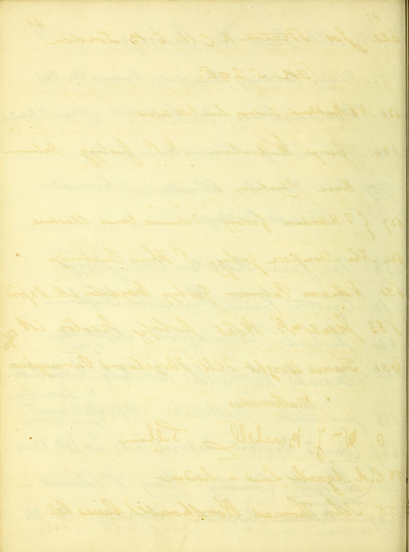 4^ .V'' ^v w,.,>esu P IfSV' '^'*- -« y’'-^'Mv*,«: !.-, ' ^Js' '.-i ; ^3^ j ss-V'^^' .1r'i;> . -->. ■■ .' ^-: 5ta.„ ,, -■ ^ ■ 3-.!-vA ,„ ■ jK 'fr.. ,:; ■ , .;■ :\ ' ■~^-^ A J- #F' V'-.'V ^■.;- ■*: >* ■ . .»0;: 'i ■Jss:!;'' : V«'. '*H, % Bjfi' ' '%>■, -u;***A 'Wj ,. s.'. -m-i'- ... '■ ,*.. (■ '■ ?.. --ft' -' - :■' -. '^■:SKH '•>' - ■ • ■■^. .-■ #. ''■' I';.v,, , , . 'A,..--1>,-, ■