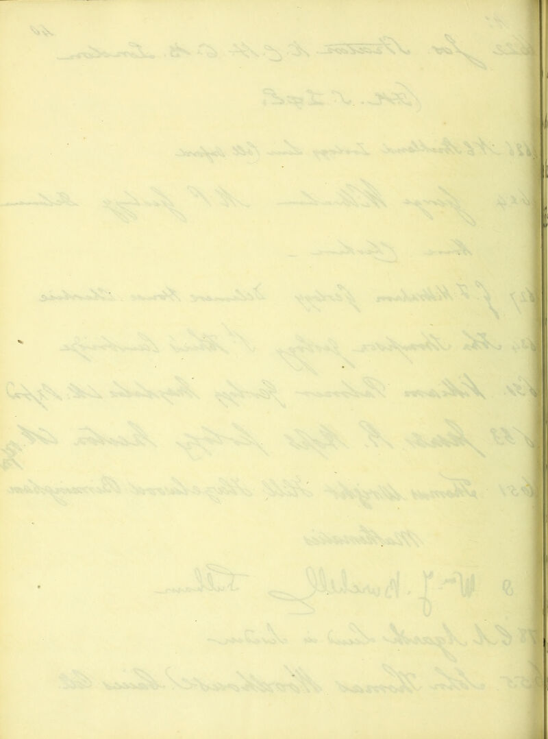 \ Ji» ' • ^.1 3w$d . jK=s: _ ^^J’ s % >(^V ;^%-V\ lii»