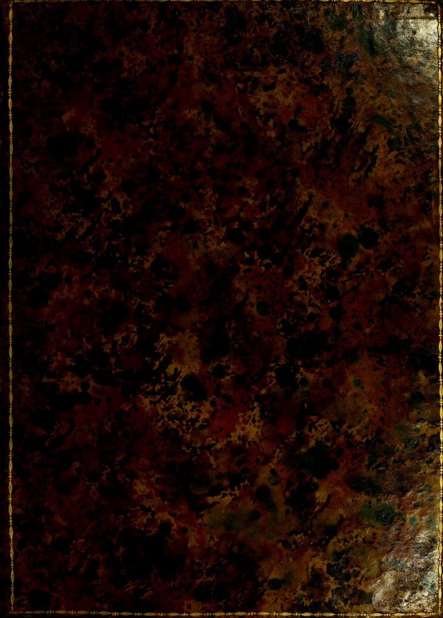 No text description is available for this image