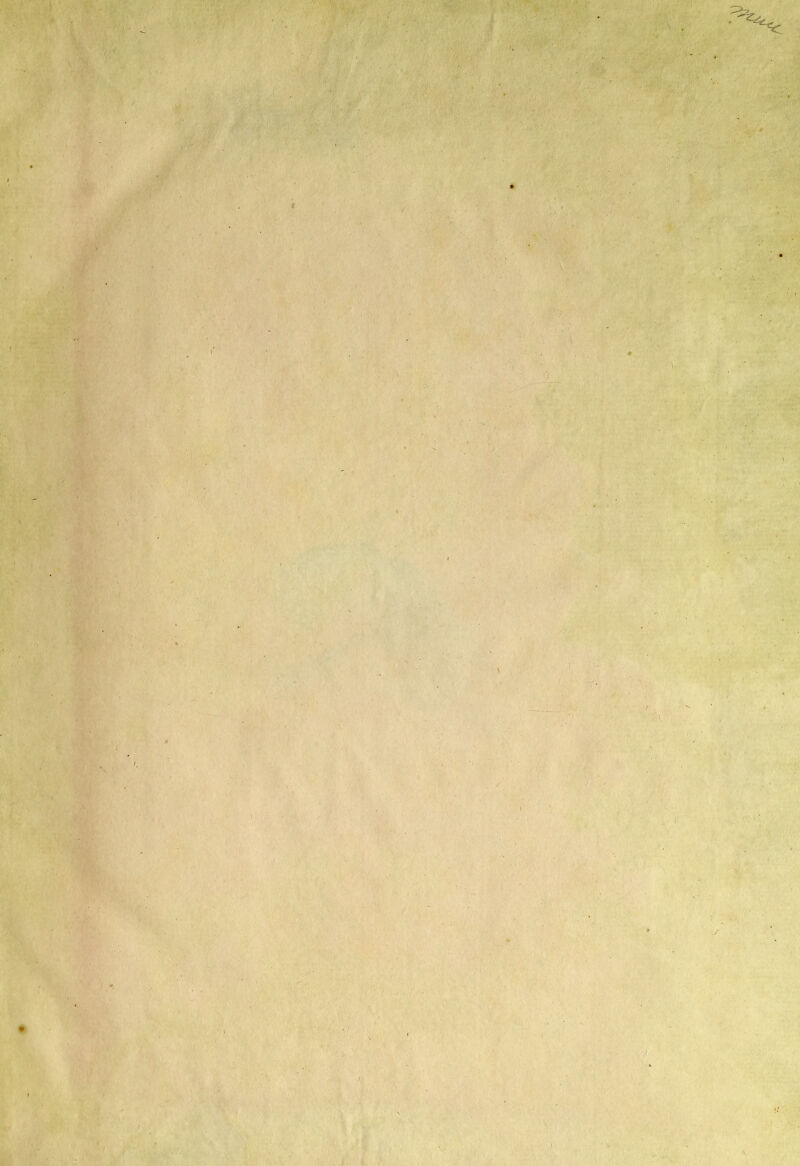 li l-' ■' ■  ' ' ''