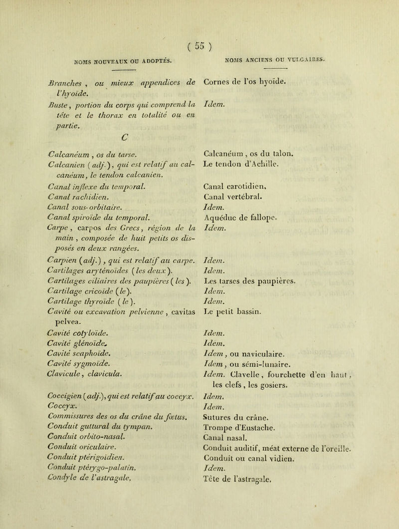 Branches , ou mieux appendices de V hyoïde. Buste, portion du corps qui comprend la tête et le thorax en totalité ou en partie. c Calcanéum , os du tarse. Calcanien ( adj. ), qui est relatif au cal- canéum, le tendon calcanien. Canal injlexe du temporal. Canal rachidien. Canal sous- orbitaire. Canal spiroïde du temporal. Carpe , carpos des Grecs, région de la main , composée de huit petits os dis- posés en deux rangées. Carpien (adj.) qui est relatif au carpe. Cartilages aryténoïdes ( les deux}. Cartilages ciliaires des paupières (les). Cartilage cricoïde (le). Cartdage thyroïde (le). Cavité ou excavation pelvienne , cavitas pelvea. Cavité colyloïde. Cavité glénoïde, Cavité scaphoïde. Cavité sygmoïde. Clavicule, clavicula. Coccigïen(adji), qui est relatif au coccyx. Coccyx. Commissures des os du crâne du foetus. Conduit guttural du tympan. Conduit orbito-nasal. Conduit oriculaire. Conduit ptérigoïdien. Conduit p té rygo-pal afin. Condyle de l'astragale. Cornes de l’os hyoïde. Idem. Calcanéum , os du talon. Le tendon d’Achille. Canal carotidien» Canal vertébral. Idem. Aquéduc de fallope. Idem. Idem. Idem. Les tarses des paupières. Idem. Idem. Le petit bassin. Iclem. Idem. Idem, ou naviculaire. Idem, ou sémi-!unaire. Idem. Clavelle, fourchette d’en haut, les clefs , les gosiers. Idem. Idem. Sutures du crâne. Trompe d’Eustache. Canal nasal. Conduit auditif, méat externe de l’oreille. Conduit ou canal vidien. Idem. Tète de l’astragale.