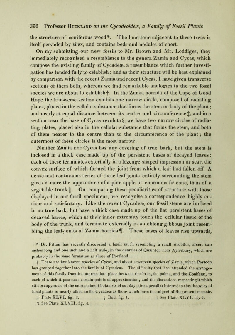 the structure of coniferous wood*. The limestone adjacent to these trees is itself pervaded by silex^ and contains beds and nodules of chert. On my submitting' our new fossils to Mr. Brown and Mr. Loddiges, they immediately recognised a resemblance to the genera Zamia and Cycas, which compose the existing family of Cycadeae^ a resemblance which further investi- gation has tended fully to establish ; and as their structure will be best explained by comparison with the recent Zamia and recent Cycas^ I have given transverse sections of them both, wherein we find remarkable analogies to the two fossil species we are about to establish f. In the Zamia horrida of the Cape of Good Hope the transverse section exhibits one narrow circle, composed of radiating plates, placed in the cellular substance that forms the stem or body of the plant; and nearly at equal distance between its centre and circumference and in a section near the base of Cycas revoluta§, we have two narrow circles of radia- ting plates, placed also in the cellular substance that forms the stem, and both of them nearer to the centre than to the circumference of the plant; the outermost of these circles is the most narrow. Neither Zamia nor Cycas has any covering of true bark, but the stem is inclosed in a thick case made up of the persistent bases of decayed leaves: each of these terminates externally in a lozenge-shaped impression or scar, the convex surface of which formed the joint from which a leaf had fallen off. A dense and continuous series of these leaf-joints entirely surrounding the stem gives it more the appearance of a pine-apple or enormous fir-cone, than of a vegetable trunk ||. On comparing these peculiarities of structure with those displayed in our fossil specimens, we recognise a correspondence highly cu- rious and satisfactory. Like the recent Cycadeae, our fossil stems are inclosed in no true bark, but have a thick case made up of the flat persistent bases of decayed leaves, which at their inner extremity touch the cellular tissue of the body of the trunk, and terminate externally in an oblong gibbous joint resem- bling the leaf-joints of Zamia horrida^. These bases of leaves rise upwards, * Dr. Fitton has recently discovered a fossil much resembling a small strobilus, about two inches long and one inch and a half wide, in the quarries of Quainton near Aylesbury, which are probably in the same formation as those of Portland. f There are five known species of Cycas, and about seventeen species of Zamia, which Persoon has grouped together into the family of Cycadeas. The difficulty that has attended the arrange- ment of this family from its intermediate place between the ferns, the palms, and the Coniferae, to each of which it possesses certain points of approximation, and the discussions respecting it which still occupy some of the most eminent botanists of our day, give a peculiar interest to the discovery of fossil plants so nearly allied to the Cycadeae as those which form the subject of the present memoir. + Plate XLVI. fig. 3. § Ibid. fig. 1. |) See Plate XLVI. fig. 4. T See Plate XLVII. fig. 4.