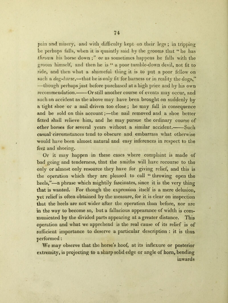 pain and misery, and with difficulty kept on their legs ; in tripping he perhaps falls, when it is quaintly said by the grooms that “ he has thrown his horse down or as sometimes happens he falls with the groom himself, and then he is “ a poor tumble-down devil, not lit to ride, and then what a shameful thing it is to put a poor fellow on such a clog-horse,—that he is only lit for harness or in reality the dogs,” —though perhaps just before purchased at a high price and by his own recommendation. Or still another course of events may occur, and such an accident as the above may have been brought on suddenly by a tight shoe or a nail driven too close; he may fall in consequence and be sold on this account;—the nail removed and a shoe better fitted shall relieve him, and he may pursue the ordinary course of other horses for several years without a similar accident. Such casual circumstances tend to obscure and embarrass what otherwise would have been almost natural and easy inferences in respect to the feet and shoeing. Or it may happen in these cases where complaint is made of bad going and tenderness, that the smiths will have recourse to the only or almost only resource they have for giving relief, and this is the operation which they are pleased to call “ throwing open the heels,”—a phrase which mightily fascinates, since it is the very thing that is wanted. For though the expression itself is a mere delusion, yet relief is often obtained by the measure, for it is clear on inspection that the heels are not wider after the operation than before, nor are in the way to become so, but a fallacious appearance of width is com- municated by the divided parts appearing at a greater distance. This operation and what we apprehend is the real cause of its relief is of sufficient importance to deserve a particular description : it is thus performed: We may observe that the horse’s hoof, at its inflexure or posterior extremity, is projecting to a sharp solid edge or angle of horn, bending inwards