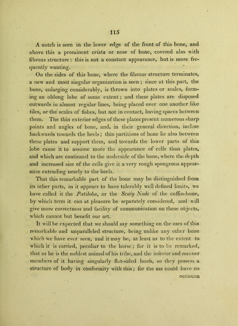 A notch is seen in the lower edge of the front of this bone, and above this a prominent crista or nose of bone, covered also with fibrous structure : this is not a constant appearance, but is more fre- quently wanting. On the sides of this bone, where the fibrous structure terminates, a new and most singular organization is seen ; since at this part, the bone, enlarging considerably? is thrown into plates or scales, form- ing an oblong lobe of some extent; and these plates are disposed outwards in almost regular lines, being placed over one another like tiles, or the scales of fishes, but not in contact, having spaces between them. The thin exterior edges of these plates present numerous sharp points and angles of bone, and, in their general direction, incline backwards towards the heels; thin partitions of bone lie also between these plates and support them, and towards the lower parts of this lobe cause it to assume more the appearance of cells than plates, and which are continued to the underside of the bone, where the depth and increased size of the cells give it a very rough spongeous appear- ance extending nearly to the heels. That this remarkable part of the bone may be distinguished from its other parts, as it appears to have tolerably well defined limits, we have called it the Patiloba, or the Scaly Node of the coffin-bone, by which term it can at pleasure be separately considered, and will give more correctness and facility of communication on these objects, which cannot but benefit our art. It will be expected that we should say something on the uses of this remarkable and unparalleled structure, being unlike any other bone which we have ever seen, and it may be, at least as to the extent to which it is carried, peculiar to the horse; for it is to be remarked, that as he is the noblest animal of his tribe, and the inferior and meaner members of it having singularly flat-sided hoofs, so they possess a structure of body in conformity with this ; for the ass couid have no occasion