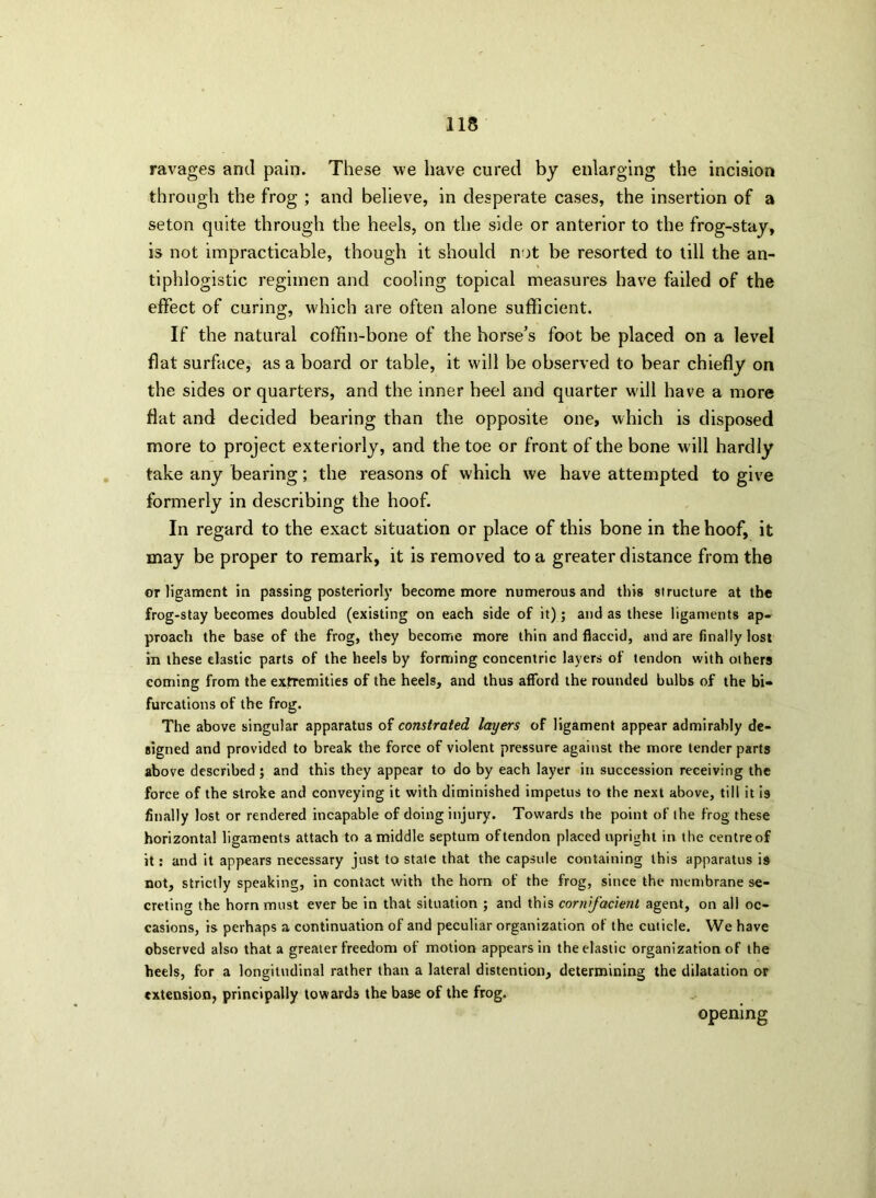 ravages and pain. These we have cured by enlarging the incision through the frog ; and believe, in desperate cases, the insertion of a seton quite through the heels, on the side or anterior to the frog-stay, is not impracticable, though it should not be resorted to till the an- tiphlogistic regimen and cooling topical measures have failed of the effect of curing, which are often alone sufficient. If the natural coffin-bone of the horse’s foot be placed on a level flat surface, as a board or table, it will be observed to bear chiefly on the sides or quarters, and the inner heel and quarter will have a more flat and decided bearing than the opposite one, which is disposed more to project exteriorly, and the toe or front of the bone will hardly take any bearing; the reasons of which we have attempted to give formerly in describing the hoof. In regard to the exact situation or place of this bone in the hoof, it may be proper to remark, it is removed to a greater distance from the or ligament in passing posteriorly become more numerous and this structure at the frog-stay becomes doubled (existing on each side of it); and as these ligaments ap- proach the base of the frog, they become more thin and flaccid, and are finally lost in these elastic parts of the heels by forming concentric layers of tendon with others coming from the extremities of the heels, and thus afford the rounded bulbs of the bi- furcations of the frog. The above singular apparatus of constrated layers of ligament appear admirably de- signed and provided to break the force of violent pressure against the more tender parts above described; and this they appear to do by each layer in succession receiving the force of the stroke and conveying it with diminished impetus to the next above, till it is finally lost or rendered incapable of doing injury. Towards the point of the frog these horizontal ligaments attach to a middle septum of tendon placed upright in the centre of it: and it appears necessary just to state that the capsule containing this apparatus is not, strictly speaking, in contact with the horn of the frog, since the membrane se- creting the horn must ever be in that situation ; and this cornfacienl agent, on all oc- casions, is perhaps a continuation of and peculiar organization of the cuticle. We have observed also that a greater freedom of motion appears in the elastic organization of the heels, for a longitudinal rather than a lateral distention, determining the dilatation or extension, principally towards the base of the frog. opening