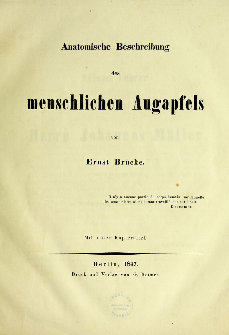 menisichlicheii lufapfels von Ernst Brücke. II n’y a aucune paitie du corps liiimain, sur laquelle les anatoinistes aient aiitant travaille que sur l’oeil. Descemet. Mit einer Kupfertafel. Berlin, 1847.