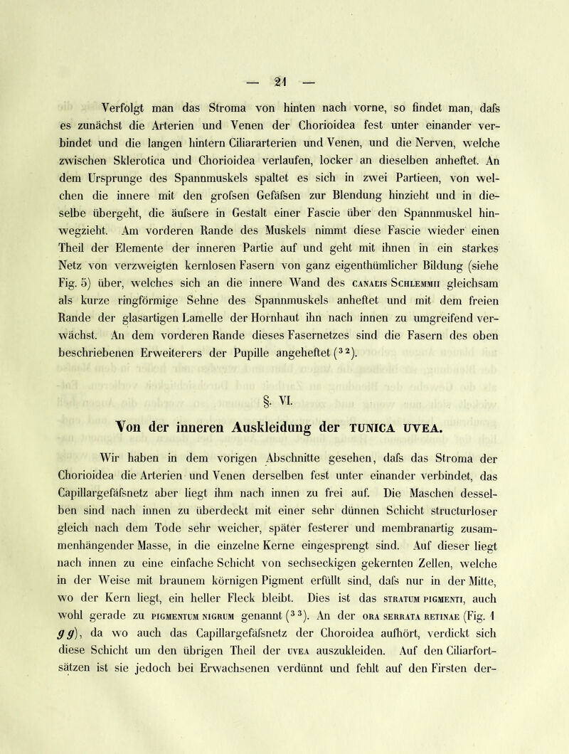 Verfolgt man das Stroma von hinten nach vorne, so findet man, dafs es zunächst die Arterien und Venen der Chorioidea fest unter einander ver- bindet und die langen hintern Ciliararterien und Venen, und die Nerven, welche z^vischen Sklerotica und Chorioidea verlaufen, locker an dieselben anheftet. An dem Ursprünge des Spannmuskels spaltet es sich in zwei Partieen, von wel- chen die innere mit den grofsen Gefäfsen zur Blendung hinzieht und in die- selbe übergeht, die äufsere in Gestalt einer Fascie über den Spannmuskel hin- wegzieht. Am vorderen Rande des Muskels nimmt diese Fascie wieder einen Theil der Elemente der inneren Partie auf und geht mit ihnen in ein starkes Netz von verzweigten kernlosen Fasern von ganz eigenthümlicher Bildung (siehe Fig. 5) über, welches sich an die innere Wand des canaeis Schlemmii gleichsam als kurze ringförmige Sehne des Spannmuskels anheftet und mit dem freien Rande der glasartigen Lamelle der Hornhaut ihn nach innen zu umgreifend ver- wächst. An dem vorderen Rande dieses Fasernetzes sind die Fasern des oben beschriebenen Erweiterers der Pupille angeheftet (*^). §. VI. Von der inneren Auskleidung der tunica uvea. Wir haben in dem vorigen Abschnitte gesehen, dafs das Stroma der Chorioidea die Arterien und Venen derselben fest unter einander verbindet, das Capillargefäfsnetz aber liegt ihm nach innen zu frei auf. Die Maschen dessel- ben sind nach innen zu überdeckt mit einer sehr dünnen Schicht structuiioser gleich nach dem Tode sehr weicher, später festerer und membranartig zusam- menhängender Masse, in die einzelne Kerne eingesprengt sind. Auf dieser liegt nach innen zu eine einfache Schicht von sechseckigen gekernten Zellen, welche in der Weise mit braunem körnigen Pigment erfüllt sind, dafs nur in der Mitte, wo der Kern liegt, ein heller Fleck bleibt. Dies ist das stkatum pigmenti, auch wohl gerade zu pigmentum nigrum genannt 3). An der ora serrata retinae (Fig. 1 gg), da wo auch das Capillargefäfsnetz der Choroidea aufhört, verdickt sich diese Schicht um den übrigen Theil der uvea auszukleiden. Auf den Ciliarfort- sätzen ist sie jedoch bei Erwachsenen verdünnt und fehlt auf den Firsten der-