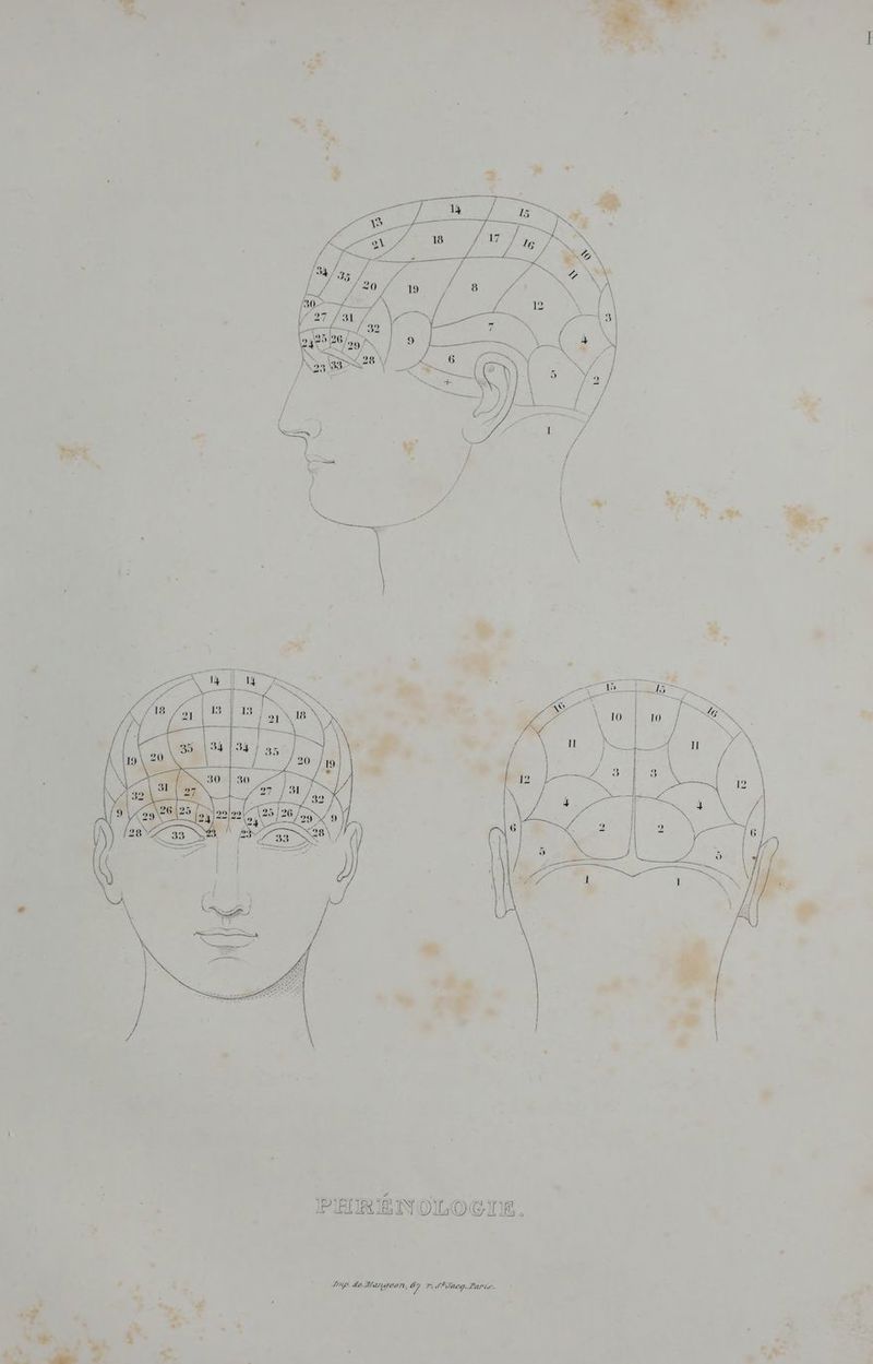 » rt .. “ ee ; +. « + CU np de Hanyeon, 57 7 Sbacg.Larts-