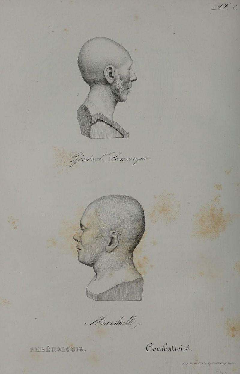 APE Ÿ ITR ie De LAtte L 2 É A V4 DA F4 2 | fi . ” » L PÉLRIE NOLOGTE . Cowbatisité k * à np de Mana dres 671 tit Patton