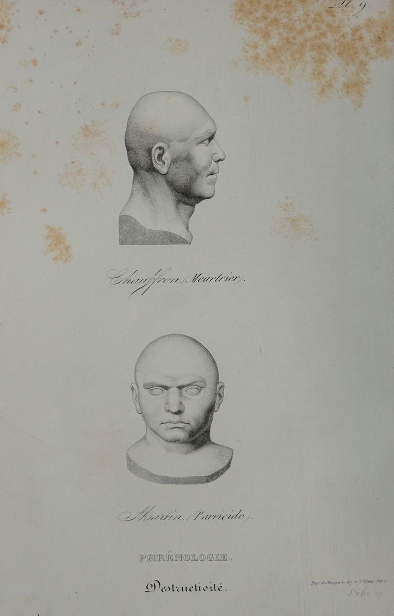 er es LIL MENT LET) | , Le = JL. PÉTRENOLOGIE . Destiuctioité. np deMingeonëg r d'Éeog d'arts SDchx