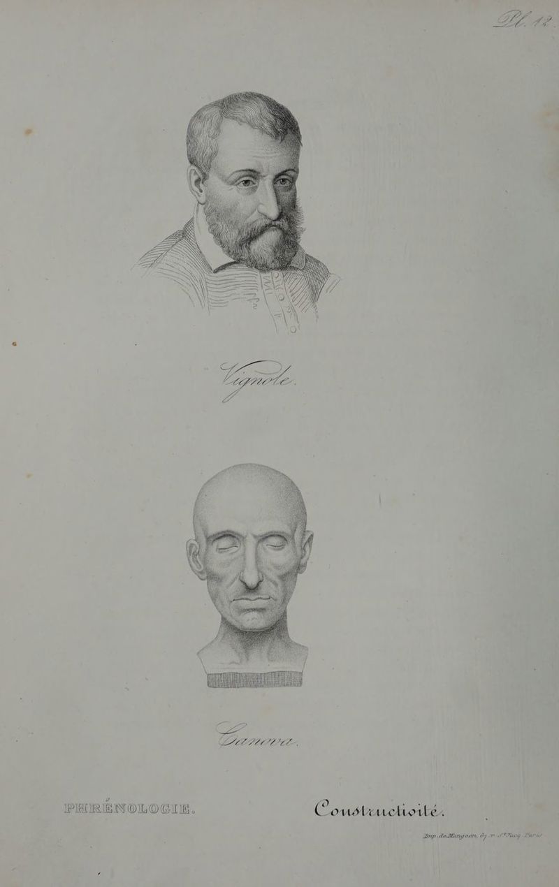 IPIAI NOLOGIIE. à mn CI LS fa 0 Pa PP D ae | Couélruchoiue. Znp da llangeers Êgr PÉTasy Lerèr .