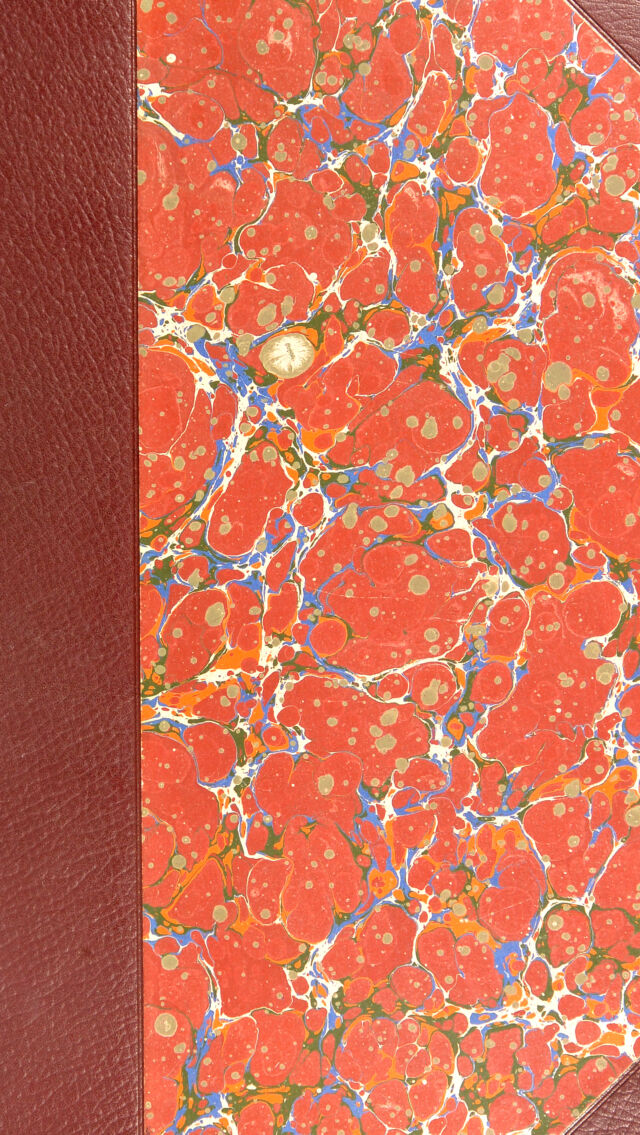 No text description is available for this image