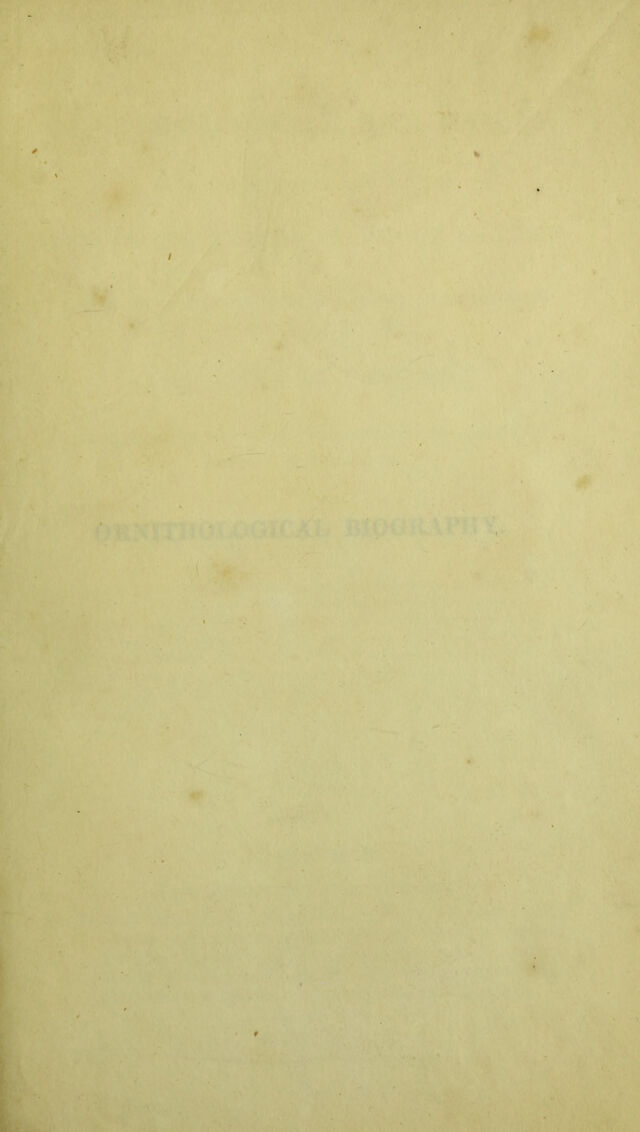 digitised image 3