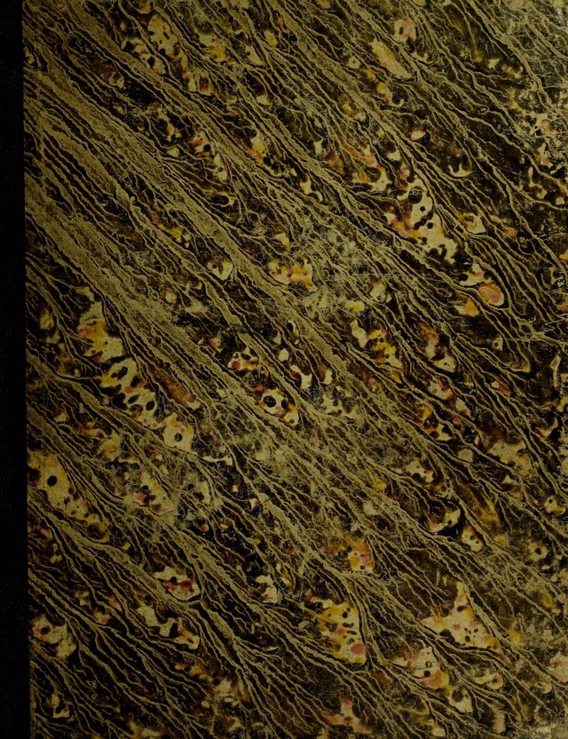 digitised image 1