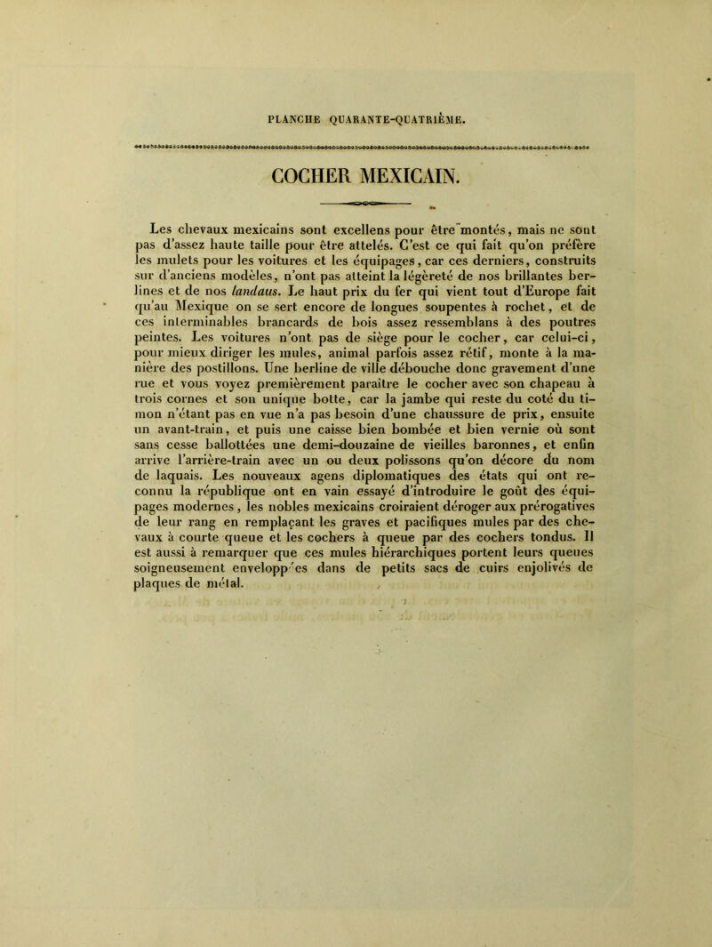 COCHER MEXICAIN. Les chevaux mexicains sont excellens pour être montés, mais ne sont pas d’assez haute taille pour être attelés. C’est ce qui fait qu’on préfère les mulets pour les voitures et les équipages, car ces derniers, construits sur d’anciens modèles, n’ont pas atteint la légèreté de nos brillantes ber- lines et de nos landaus. Le haut prix du fer qui vient tout d’Europe fait qu’au Mexique on se sert encore de longues soupentes à rochet, Cl de ces interminables brancards de bois assez ressemblans à des poutres peintes. Les voitures n’ont pas de siège pour le cocher, car celui-ci, pour mieux diriger les mules, animal parfois assez rétif, monte à la ma- nière des postillons. Une berline de ville débouche donc gravement d’une rue et vous voyez premièrement paraître le cocher avec son chapeau à trois cornes et son unique botte, car la jambe qui reste du coté du ti- mon n’étant pas en vue n’a pas besoin d’une chaussure de prix, ensuite un avant-train, et puis une caisse bien bombée et bien vernie où sont sans cesse ballottées une demi-douzaine de vieilles baronnes, et enfin arrive l’arrière-train avec un ou deux polissons qu’on décore du nom de laquais. Les nouveaux agens diplomatiques des états qui ont re- connu la république ont en vain essayé d’introduire le goût des équi- pages modernes , les nobles mexicains croiraient déroger aux prérogatives de leur rang en remplaçant les graves et pacifiques mules par des che- vaux à courte queue et les cochers à queue par des cochers tondus. Il est aussi à remarquer que ces mules hiérarchiques portent leurs queues soigneusement envelopp'es dans de petits sacs de cuirs enjolivés de plaques de mêlai.