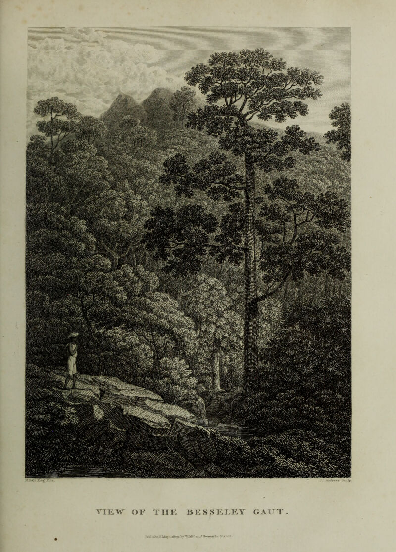 iLSaltlisq^Xinx. . * XXandseer Scalp. O F T H E BESS E L E Y G AlJ T . VIEW