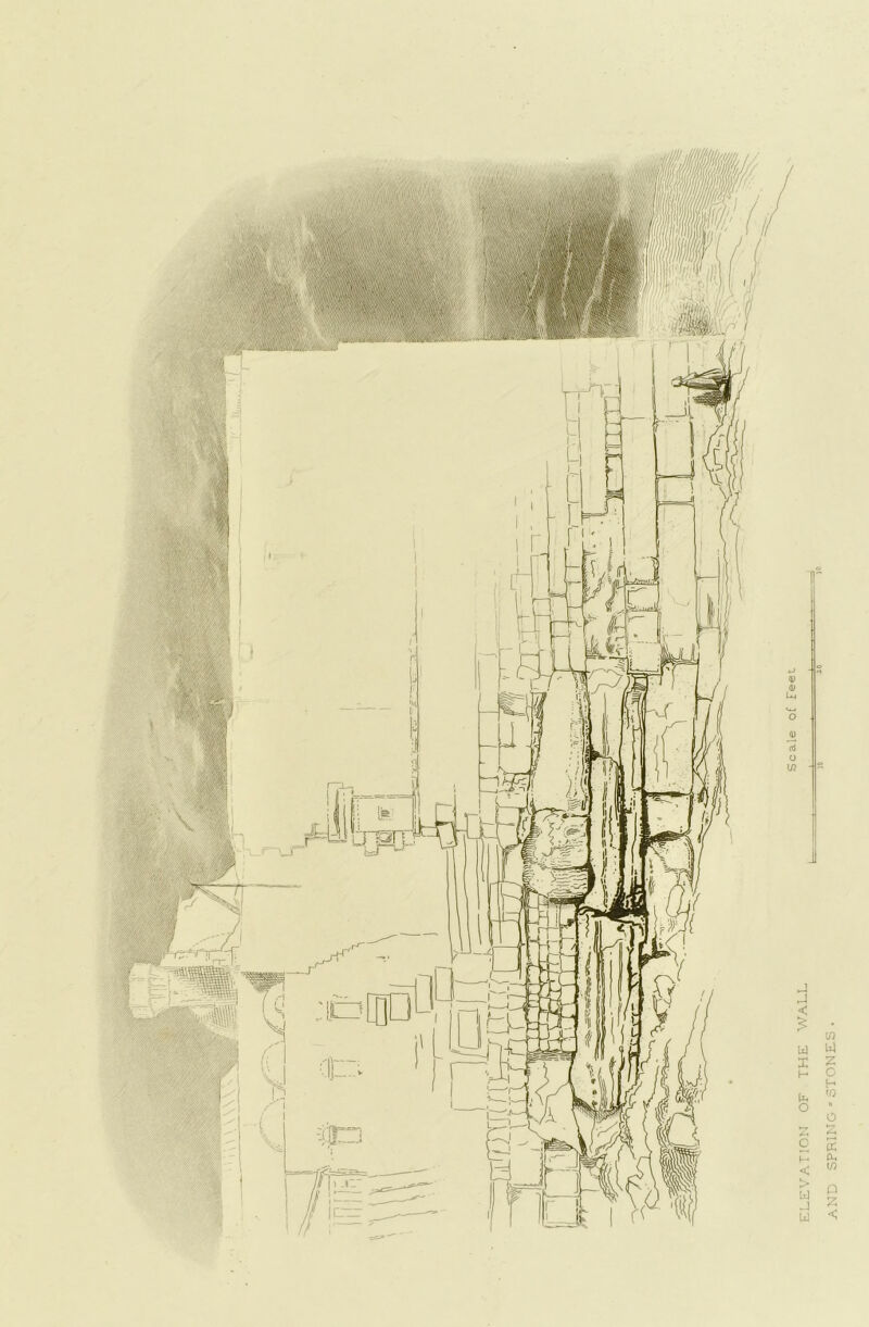 ELEVATION OF THE WALL