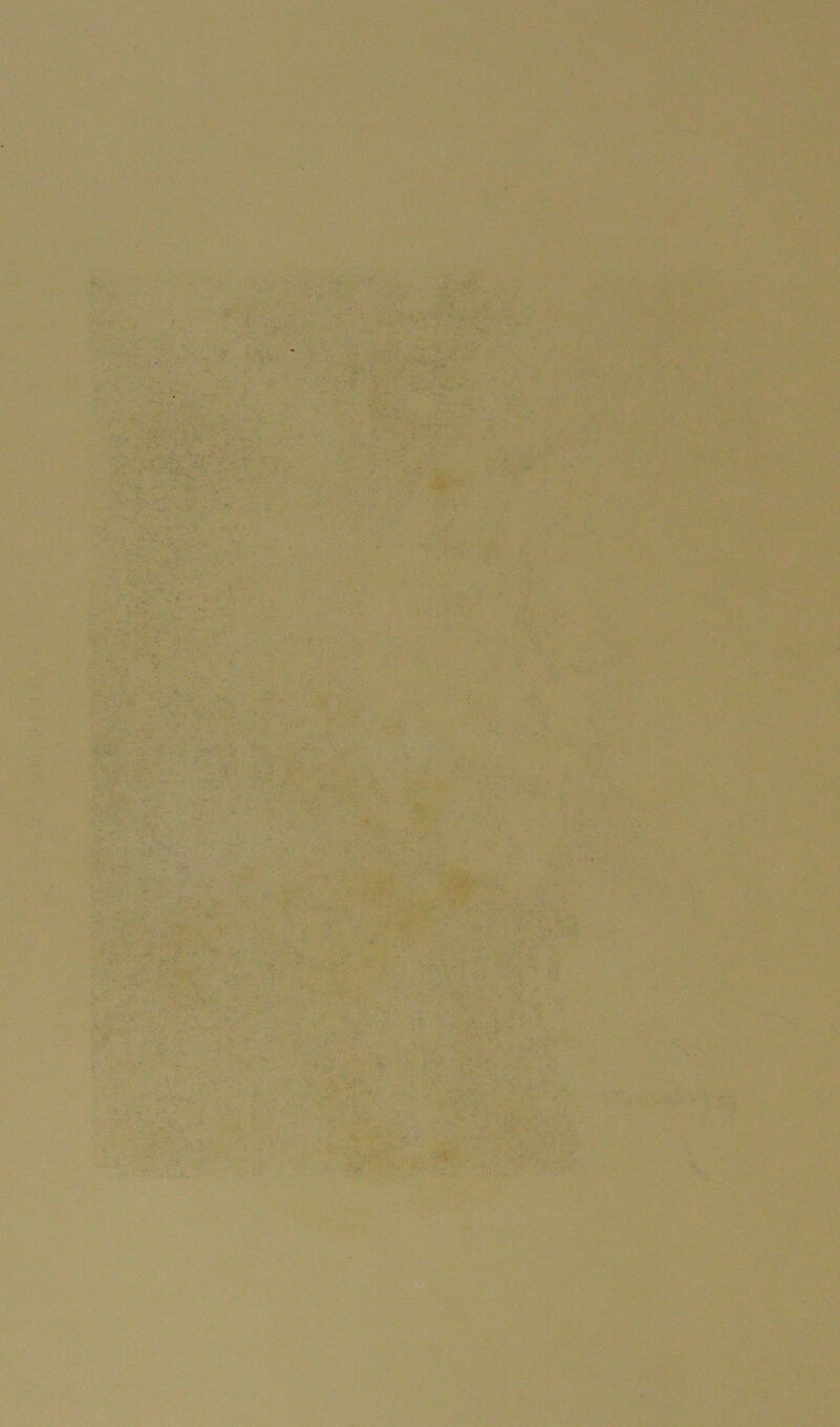 ■f-'-