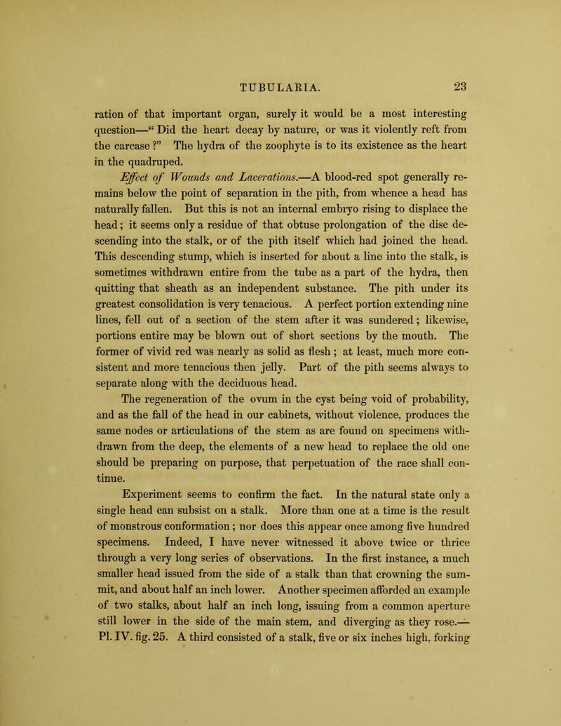 ration of that important organ, surely it would be a most interesting question—“ Did the heart decay by nature, or was it violently reft from the carcase ?” The hydra of the zoophyte is to its existence as the heart in the quadruped. Effect of Wounds and Lacerations.—A blood-red spot generally re- mains below the point of separation in the pith, from whence a head has naturally fallen. But this is not an internal embryo rising to displace the head; it seems only a residue of that obtuse prolongation of the disc de- scending into the stalk, or of the pith itself which had joined the head. This descending stump, which is inserted for about a line into the stalk, is sometimes withdrawn entire from the tube as a part of the hydra, then quitting that sheath as an independent substance. The pith under its greatest consolidation is very tenacious. A perfect portion extending nine lines, fell out of a section of the stem after it was sundered; likewise, portions entire may be blown out of short sections by the mouth. The former of vivid red was nearly as solid as flesh; at least, much more con- sistent and more tenacious then jelly. Part of the pith seems always to separate along with the deciduous head. The regeneration of the ovum in the cyst being void of probability, and as the fall of the head in our cabinets, without violence, produces the same nodes or articulations of the stem as are found on specimens with- drawn from the deep, the elements of a new head to replace the old one should be preparing on purpose, that perpetuation of the race shall con- tinue. Experiment seems to confirm the fact. In the natural state only a single head can subsist on a stalk. More than one at a time is the result of monstrous conformation; nor does this appear once among five hundred specimens. Indeed, I have never witnessed it above twice or thrice through a very long series of observations. In the first instance, a much smaller head issued from the side of a stalk than that crowning the sum- mit, and about half an inch lower. Another specimen afforded an example of two stalks, about half an inch long, issuing from a common aperture still lower in the side of the main stem, and diverging as they rose.— PI. IV. fig. 25. A third consisted of a stalk, five or six inches high, forking