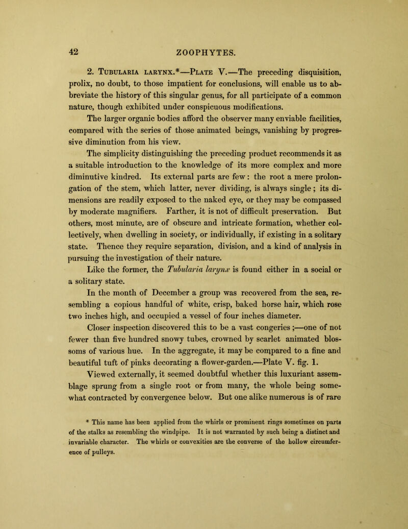2. Tubularia larynx.*—Plate V.—The preceding disquisition, prolix, no doubt, to those impatient for conclusions, will enable us to ab- breviate the history of this singular genus, for all participate of a common nature, though exhibited under conspicuous modifications. The larger organic bodies afford the observer many enviable facilities, compared with the series of those animated beings, vanishing by progres- sive diminution from his view. The simplicity distinguishing the preceding product recommends it as a suitable introduction to the knowledge of its more complex and more diminutive kindred. Its external parts are few : the root a mere prolon- gation of the stem, which latter, never dividing, is always single; its di- mensions are readily exposed to the naked eye, or they may be compassed by moderate magnifiers. Farther, it is not of difficult preservation. But others, most minute, are of obscure and intricate formation, whether col- lectively, when dwelling in society, or individually, if existing in a solitary state. Thence they require separation, division, and a kind of analysis in pursuing the investigation of their nature. Like the former, the Tubularia larynx is found either in a social or a solitary state. In the month of December a group was recovered from the sea, re- sembling a copious handful of white, crisp, baked horse hair, which rose two inches high, and occupied a vessel of four inches diameter. Closer inspection discovered this to be a vast congeries ;—one of not fewer than five hundred snowy tubes, crowned by scarlet animated blos- soms of various hue. In the aggregate, it may be compared to a fine and beautiful tuft of pinks decorating a flower-garden.—Plate V. fig. 1. Viewed externally, it seemed doubtful whether this luxuriant assem- blage sprung from a single root or from many, the whole being some- what contracted by convergence below. But one alike numerous is of rare * This name has been applied from the whirls or prominent rings sometimes on parts of the stalks as resembling the windpipe. It is not warranted by such being a distinct and invariable character. The whirls or convexities are the converse of the hollow circumfer- ence of pulleys.