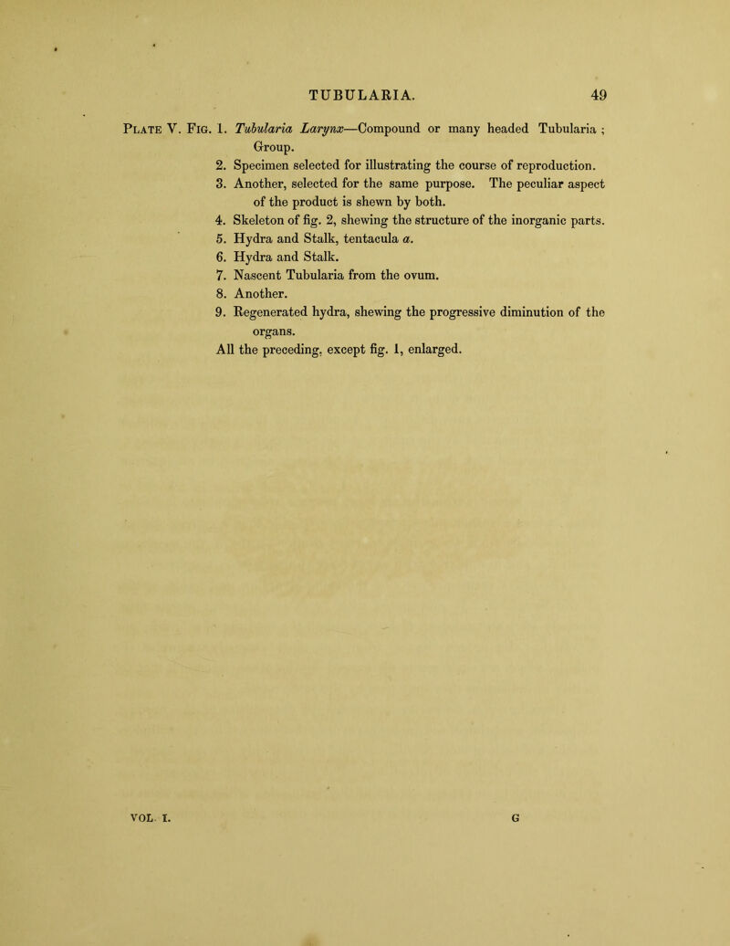 Plate V. Fig. 1. Tubularia Larynx—Compound or many headed Tubularia ; Group. 2. Specimen selected for illustrating the course of reproduction. 3. Another, selected for the same purpose. The peculiar aspect of the product is shewn by both. 4. Skeleton of fig. 2, shewing the structure of the inorganic parts. 5. Hydra and Stalk, tentacula a. 6. Hydra and Stalk. 7. Nascent Tubularia from the ovum. 8. Another. 9. Regenerated hydra, shewing the progressive diminution of the organs. All the preceding, except fig. 1, enlarged. VOL. I. G