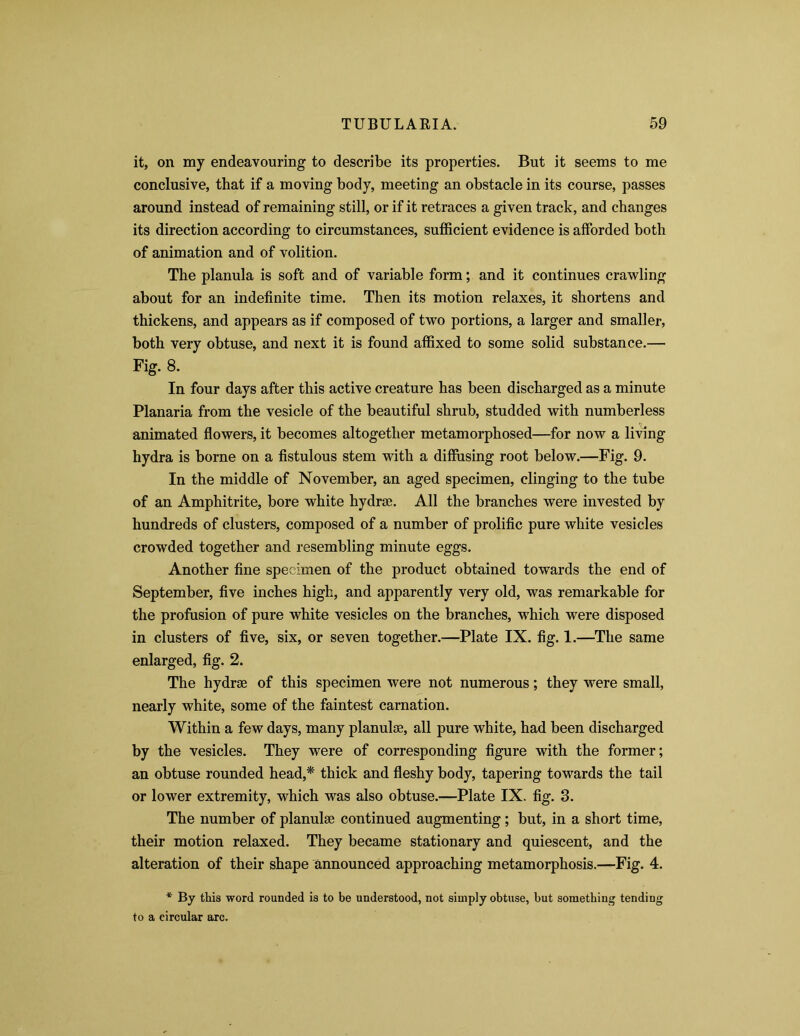 it, on my endeavouring to describe its properties. But it seems to me conclusive, that if a moving body, meeting an obstacle in its course, passes around instead of remaining still, or if it retraces a given track, and changes its direction according to circumstances, sufficient evidence is afforded both of animation and of volition. The planula is soft and of variable form; and it continues crawling about for an indefinite time. Then its motion relaxes, it shortens and thickens, and appears as if composed of two portions, a larger and smaller, both very obtuse, and next it is found affixed to some solid substance.— Fig. 8. In four days after this active creature has been discharged as a minute Planaria from the vesicle of the beautiful shrub, studded with numberless animated flowers, it becomes altogether metamorphosed—for now a living hydra is borne on a fistulous stem with a diffusing root below.—Fig. 9. In the middle of November, an aged specimen, clinging to the tube of an Amphitrite, bore white hydrse. All the branches were invested by hundreds of clusters, composed of a number of prolific pure white vesicles crowded together and resembling minute eggs. Another fine specimen of the product obtained towards the end of September, five inches high, and apparently very old, was remarkable for the profusion of pure white vesicles on the branches, which were disposed in clusters of five, six, or seven together.—Plate IX. fig. 1.—The same enlarged, fig. 2. The hydrse of this specimen were not numerous; they were small, nearly white, some of the faintest carnation. Within a few days, many planulae, all pure white, had been discharged by the vesicles. They were of corresponding figure with the former; an obtuse rounded head,* thick and fleshy body, tapering towards the tail or lower extremity, which was also obtuse.—Plate IX. fig. 3. The number of planulae continued augmenting; but, in a short time, their motion relaxed. They became stationary and quiescent, and the alteration of their shape announced approaching metamorphosis.—Fig. 4. * By this word rounded is to be understood, not simply obtuse, but something tendiug to a circular arc.
