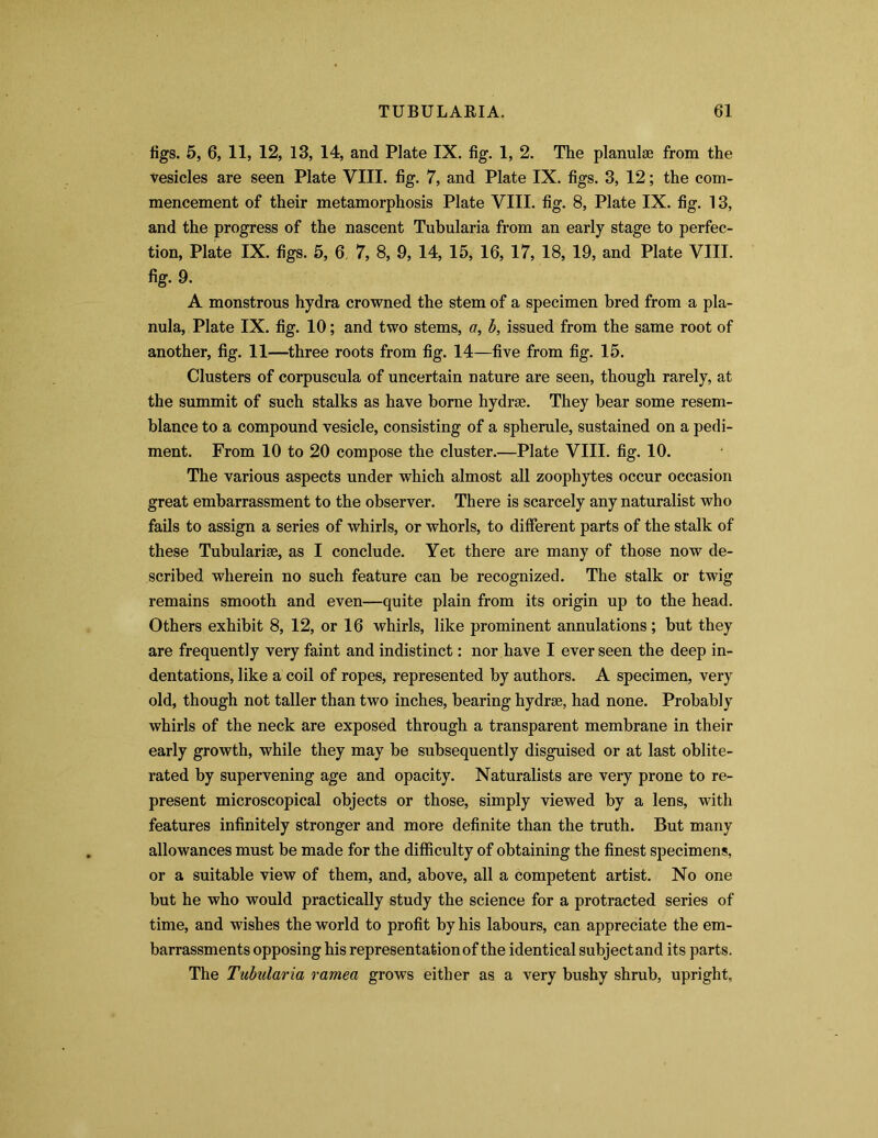 figs. 5, 6, 11, 12, 13, 14, and Plate IX. fig. 1, 2. The planulse from the vesicles are seen Plate VIII. fig. 7, and Plate IX. figs. 3, 12; the com- mencement of their metamorphosis Plate VIII. fig. 8, Plate IX. fig. 13, and the progress of the nascent Tubularia from an early stage to perfec- tion, Plate IX. figs. 5, 6, 7, 8, 9, 14, 15, 16, 17, 18, 19, and Plate VIII. fig. 9. A monstrous hydra crowned the stem of a specimen bred from a pla- nula, Plate IX. fig. 10; and two stems, a, b, issued from the same root of another, fig. 11—three roots from fig. 14—five from fig. 15. Clusters of corpuscula of uncertain nature are seen, though rarely, at the summit of such stalks as have borne hydras. They bear some resem- blance to a compound vesicle, consisting of a spherule, sustained on a pedi- ment. From 10 to 20 compose the cluster.—Plate VIII. fig. 10. The various aspects under which almost all zoophytes occur occasion great embarrassment to the observer. There is scarcely any naturalist who fails to assign a series of whirls, or whorls, to different parts of the stalk of these Tubulariae, as I conclude. Yet there are many of those now de- scribed wherein no such feature can be recognized. The stalk or twig remains smooth and even—quite plain from its origin up to the head. Others exhibit 8, 12, or 16 whirls, like prominent annulations; but they are frequently very faint and indistinct: nor have I ever seen the deep in- dentations, like a coil of ropes, represented by authors. A specimen, very old, though not taller than two inches, bearing hydrse, had none. Probably whirls of the neck are exposed through a transparent membrane in their early growth, while they may be subsequently disguised or at last oblite- rated by supervening age and opacity. Naturalists are very prone to re- present microscopical objects or those, simply viewed by a lens, with features infinitely stronger and more definite than the truth. But many allowances must be made for the difficulty of obtaining the finest specimens, or a suitable view of them, and, above, all a competent artist. No one but he who would practically study the science for a protracted series of time, and wishes the world to profit by his labours, can appreciate the em- barrassments opposing his representation of the identical subject and its parts. The Tubularia ramea grows either as a very bushy shrub, upright.
