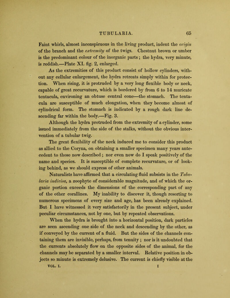 Faint whirls, almost inconspicuous in the living product, indent the origin of the branch and the extremity of the twigs. Chestnut brown or umber is the predominant colour of the inorganic parts ; the hydra, very minute, is reddish.—Plate XI. fig. 2, enlarged. As the extremities of this product consist of hollow cylinders, with- out any cellular enlargement, the hydra retreats simply within for protec- tion. When rising, it is protruded by a very long flexible body or neck, capable of great recurvature, which is bordered by from 6 to 14 muricate tentacula, environing an obtuse central cone—the stomach. The tenta- cula are susceptible of much elongation, when they become almost of cylindrical form. The stomach is indicated by a rough dark line de- scending far within the body.—Fig. 3. Although the hydra protruded from the extremity of a cylinder, some issued immediately from the side of the stalks, without the obvious inter- vention of a tubular twig. The great flexibility of the neck induced me to consider this product as allied to the Coryna, on obtaining a smaller specimen many years ante- cedent to those now described ; nor even now do I speak positively of the name and species. It is susceptible of complete recurvature, or of look- ing behind, as we should express of other animals. Naturalists have affirmed that a circulating fluid subsists in the Tubu- laria indivisa, a zoophyte of considerable magnitude, and of which the or- ganic portion exceeds the dimensions of the corresponding part of any of the other corallines. My inability to discover it, though resorting to numerous specimens of every size and age, has been already explained. But I have witnessed it very satisfactorily in the present subject, under peculiar circumstances, not by one, but by repeated observations. When the hydra is brought into a horizontal position, dark particles are seen ascending one side of the neck and descending by the other, as if conveyed by the current of a fluid. But the sides of the channels con- taining them are invisible, perhaps, from tenuity ; nor is it undoubted that the currents absolutely flow on the opposite sides of the animal, for the channels may be separated by a smaller interval. Relative position in ob- jects so minute is extremely delusive. The current is chiefly visible at the VOL. i. i