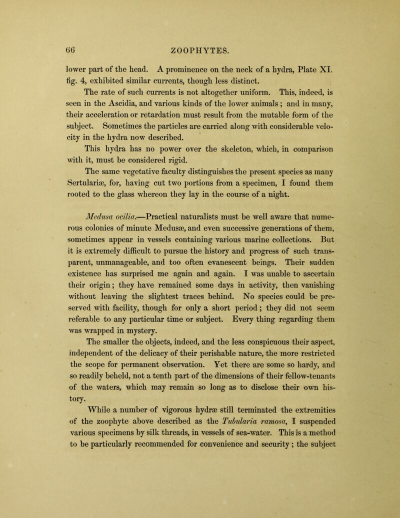 lower part of the head. A prominence on the neck of a hydra, Plate XI. fig. 4, exhibited similar currents, though less distinct. The rate of such currents is not altogether uniform. This, indeed, is seen in the Ascidia, and various kinds of the lower animals ; and in many, their acceleration or retardation must result from the mutable form of the subject. Sometimes the particles are carried along with considerable velo- city in the hydra now described. This hydra has no power over the skeleton, which, in comparison with it, must be considered rigid. The same vegetative faculty distinguishes the present species as many Sertulariae, for, having cut two portions from a specimen, I found them rooted to the glass whereon they lay in the course of a night. Medusa ocilia.—Practical naturalists must be well aware that nume- rous colonies of minute Medusae, and even successive generations of them, sometimes appear in vessels containing various marine collections. But it is extremely difficult to pursue the history and progress of such trans- parent, unmanageable, and too often evanescent beings. Their sudden existence has surprised me again and again. I was unable to ascertain their origin; they have remained some days in activity, then vanishing without leaving the slightest traces behind. No species could be pre- served with facility, though for only a short period; they did not seem referable to any particular time or subject. Every thing regarding them was wrapped in mystery. The smaller the objects, indeed, and the less conspicuous their aspect, independent of the delicacy of their perishable nature, the more restricted the scope for permanent observation. Yet there are some so hardy, and so readily beheld, not a tenth part of the dimensions of their fellow-tenants of the waters, which may remain so long as to disclose their own his- tory. While a number of vigorous hydrse still terminated the extremities of the zoophyte above described as the Tubularia ramosa, I suspended various specimens by silk threads, in vessels of sea-water. This is a method to be particularly recommended for convenience and security; the subject