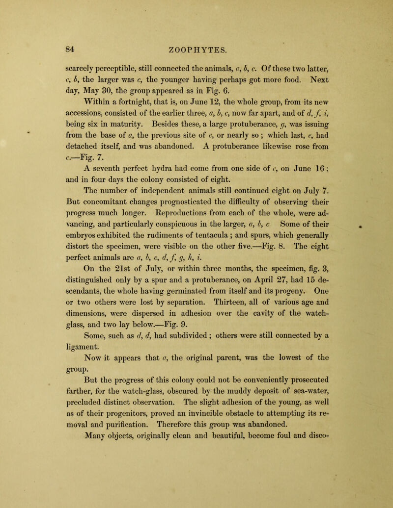 scarcely perceptible, still connected the animals, a, b, c. Of these two latter, c, b, the larger was c, the younger having perhaps got more food. Next day, May 30, the group appeared as in Fig. 6. Within a fortnight, that is, on June 12, the whole group, from its new accessions, consisted of the earlier three, a, b, c, now far apart, and of d, f i, being six in maturity. Besides these, a large protuberance, g, was issuing from the base of a, the previous site of e, or nearly so ; which last, e, had detached itself, and was abandoned. A protuberance likewise rose from c.—Fig. 7. A seventh perfect hydra had come from one side of c, on June 16 ; and in four days the colony consisted of eight. The number of independent animals still continued eight on July 7. But concomitant changes prognosticated the difficulty of observing their progress much longer. Reproductions from each of the whole, were ad- vancing, and particularly conspicuous in the larger, a, b, c Some of their embryos exhibited the rudiments of tentacula ; and spurs, which generally distort the specimen, were visible on the other five.—Fig. 8. The eight perfect animals are a, b, c, d, f c/, h, i. On the 21st of July, or within three months, the specimen, fig. 3, distinguished only by a spur and a protuberance, on April 27, had 15 de- scendants, the whole having germinated from itself and its progeny. One or two others were lost by separation. Thirteen, all of various age and dimensions, were dispersed in adhesion over the cavity of the watch- glass, and two lay below.—Fig. 9. Some, such as d, d, had subdivided ; others were still connected by a ligament. Now it appears that a, the original parent, was the lowest of the group. But the progress of this colony could not be conveniently prosecuted farther, for the watch-glass, obscured by the muddy deposit of sea-water, precluded distinct observation. The slight adhesion of the young, as well as of their progenitors, proved an invincible obstacle to attempting its re- moval and purification. Therefore this group was abandoned. Many objects, originally clean and beautiful, become foul and disco-