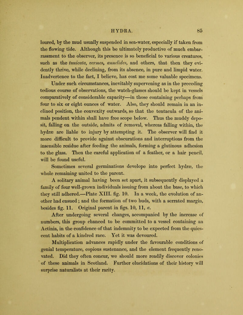 loured, by the mud usually suspended in sea-water, especially if taken from the flowing tide. Although this be ultimately productive of much embar- rassment to the observer, its presence is so beneficial to various creatures, such as the tunicata, vermes, annelides, and others, that then they evi- dently thrive, while declining, from its absence, in pure and limpid water. Inadvertence to the fact, I believe, has cost me some valuable specimens. Under such circumstances, inevitably supervening as in the preceding tedious course of observations, the watch-glasses should be kept in vessels comparatively of considerable capacity—in those containing perhaps from four to six or eight ounces of water. Also, they should remain in an in- clined position, the convexity outwards, so that the tentacula of the ani- mals pendent within shall have free scope below. Thus the muddy depo- sit, falling on the outside, admits of removal, whereas falling within, the hydrae are liable to injury by attempting it. The observer will find it more difficult to provide against obscurations and interruptions from the insensible residue after feeding the animals, forming a glutinous adhesion to the glass. Then the careful application of a feather, or a hair pencil, will be found useful. Sometimes several germinations develope into perfect hydrae, the whole remaining united to the parent. A solitary animal having been set apart, it subsequently displayed a family of four well-grown individuals issuing from about the base, to which they still adhered.—Plate XIII. fig. 10. In a week, the evolution of an- other had ensued; and the formation of two buds, with a serrated margin, besides fig. 11. Original parent in figs. 10, 11, a. After undergoing several changes, accompanied by the increase of numbers, this group chanced to be committed to a vessel containing an Actinia, in the confidence of that indemnity to be expected from the quies- cent habits of a kindred race. Yet it was devoured. Multiplication advances rapidly under the favourable conditions of genial temperature, copious sustenance, and the element frequently reno- vated. Did they often concur, we should more readily discover colonies of these animals in Scotland. Further elucidations of their history will surprise naturalists at their rarity.