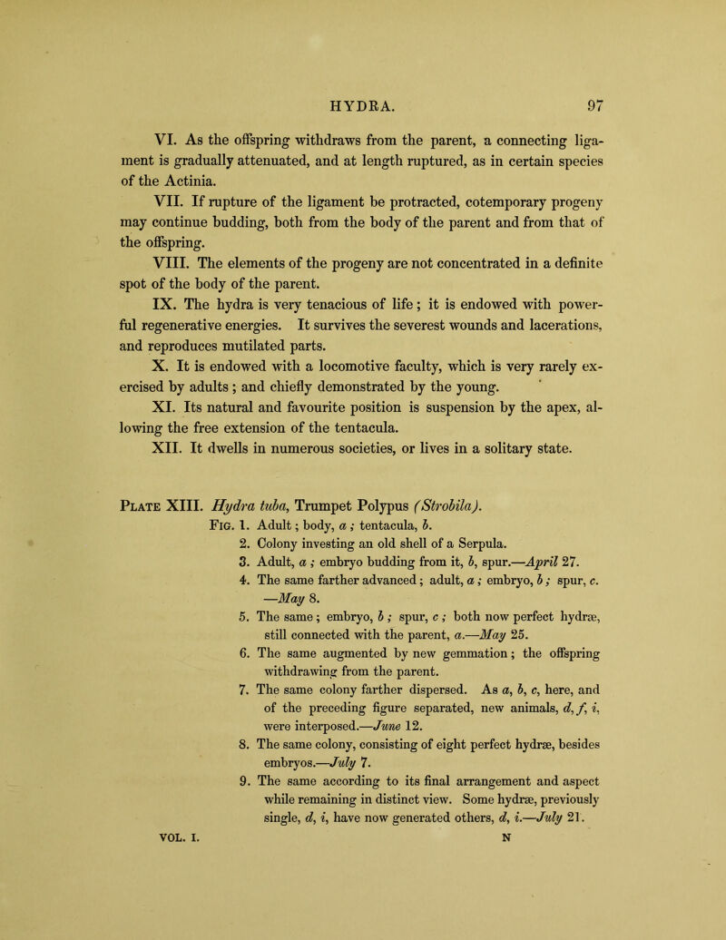 VI. As the offspring withdraws from the parent, a connecting liga- ment is gradually attenuated, and at length ruptured, as in certain species of the Actinia. VII. If rupture of the ligament be protracted, cotemporary progeny may continue budding, both from the body of the parent and from that of the offspring. VIII. The elements of the progeny are not concentrated in a definite spot of the body of the parent. IX. The hydra is very tenacious of life; it is endowed with power- ful regenerative energies. It survives the severest wounds and lacerations, and reproduces mutilated parts. X. It is endowed with a locomotive faculty, which is very rarely ex- ercised by adults ; and chiefly demonstrated by the young. XI. Its natural and favourite position is suspension by the apex, al- lowing the free extension of the tentacula. XII. It dwells in numerous societies, or lives in a solitary state. Plate XIII. Hydra tuba, Trumpet Polypus (Strobila). Fig. 1. Adult; body, a ; tentacula, b. 2. Colony investing an old shell of a Serpula. 3. Adult, a ; embryo budding from it, b, spur.—April 27. 4. The same farther advanced; adult, a ; embryo, b ; spur, c. —May 8. 5. The same ; embryo, b ; spur, c ; both now perfect hydrte, still connected with the parent, a.—May 25. 6. The same augmented by new gemmation; the offspring withdrawing from the parent. 7. The same colony farther dispersed. As a, b, c, here, and of the preceding figure separated, new animals, d,f i, were interposed.—June 12. 8. The same colony, consisting of eight perfect hydrae, besides embryos.—July 7. 9. The same according to its final arrangement and aspect while remaining in distinct view. Some hydrse, previously single, d, i, have now generated others, d, i.—July 21. VOL. I. N