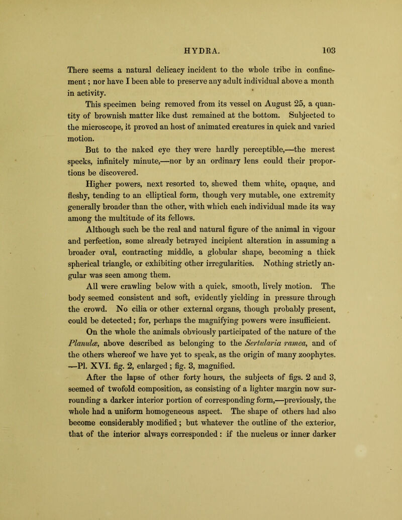 There seems a natural delicacy incident to the whole tribe in confine- ment ; nor have I been able to preserve any adult individual above a month in activity. This specimen being removed from its vessel on August 25, a quan- tity of brownish matter like dust remained at the bottom. Subjected to the microscope, it proved an host of animated creatures in quick and varied motion. But to the naked eye they were hardly perceptible,—the merest specks, infinitely minute,—nor by an ordinary lens could their propor- tions be discovered. Higher powers, next resorted to, shewed them white, opaque, and fleshy, tending to an elliptical form, though very mutable, one extremity generally broader than the other, with which each individual made its way among the multitude of its fellows. Although such be the real and natural figure of the animal in vigour and perfection, some already betrayed incipient alteration in assuming a broader oval, contracting middle, a globular shape, becoming a thick spherical triangle, or exhibiting other irregularities. Nothing strictly an- gular was seen among them. All were crawling below with a quick, smooth, lively motion. The body seemed consistent and soft, evidently yielding in pressure through the crowd. No cilia or other external organs, though probably present, could be detected; for, perhaps the magnifying powers were insufficient. On the whole the animals obviously participated of the nature of the PlanulcB, above described as belonging to the Sertularia ramea, and of the others whereof we have yet to speak, as the origin of many zoophytes. —PI. XVI. fig. 2, enlarged; fig. 3, magnified. After the lapse of other forty hours, the subjects of figs. 2 and 3, seemed of twofold composition, as consisting of a lighter margin now sur- rounding a darker interior portion of corresponding form,—previously, the whole had a uniform homogeneous aspect. The shape of others had also become considerably modified; but whatever the outline of the exterior, that of the interior always corresponded : if the nucleus or inner darker