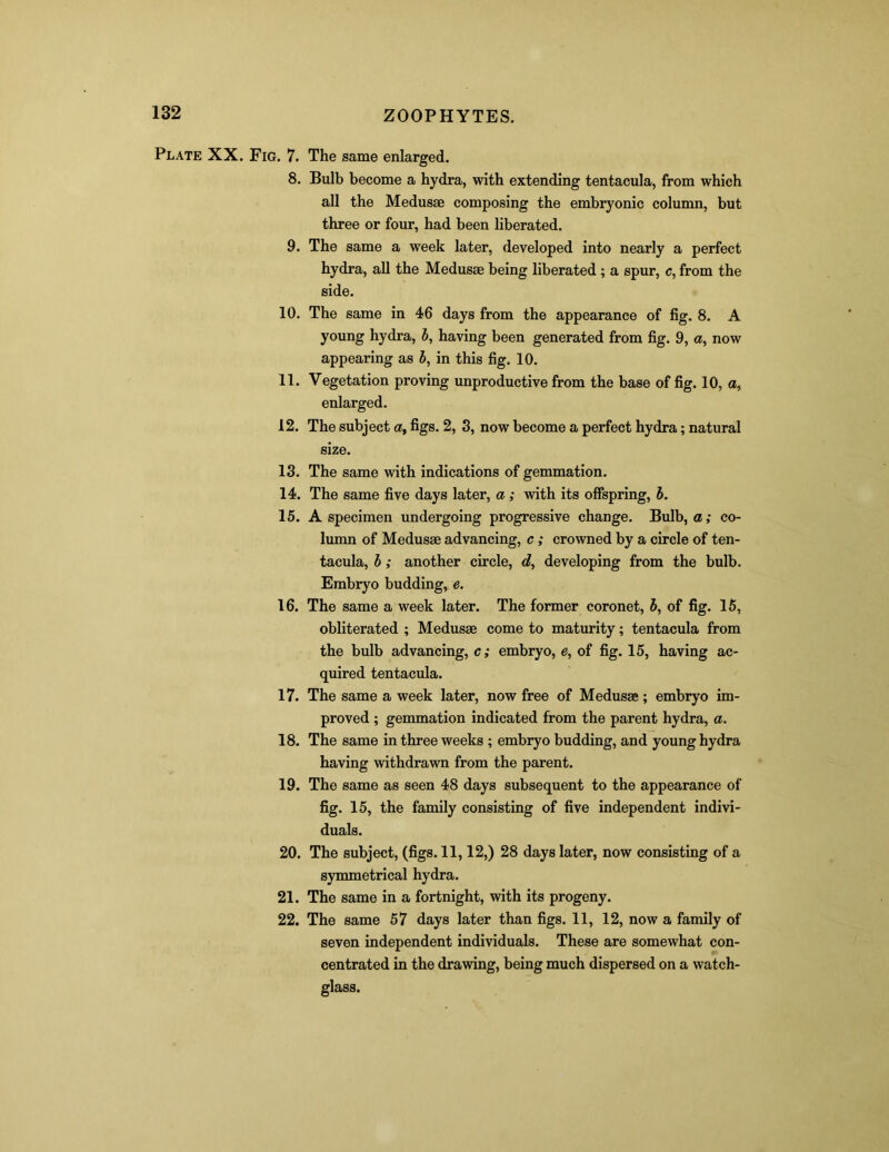 Plate XX. Fig. 7. The same enlarged. 8. Bulb become a hydra, with extending tentacula, from which all the Medusae composing the embryonic column, but three or four, had been liberated. 9. The same a week later, developed into nearly a perfect hydra, all the Medusae being liberated ; a spur, c, from the side. 10. The same in 46 days from the appearance of fig. 8. A young hydra, b, having been generated from fig. 9, a, now appearing as b, in this fig. 10. 11. Vegetation proving unproductive from the base of fig. 10, a, enlarged. 12. The subject a, figs. 2, 3, now become a perfect hydra; natural size. 13. The same with indications of gemmation. 14. The same five days later, a; with its offspring, b. 15. A specimen undergoing progressive change. Bulb, a; co- lumn of Medusse advancing, c ; crowned by a circle of ten- tacula, b; another circle, d, developing from the bulb. Embryo budding, e. 16. The same a week later. The former coronet, b, of fig. 15, obliterated ; Medusae come to maturity; tentacula from the bulb advancing, c; embryo, e, of fig. 15, having ac- quired tentacula. 17. The same a week later, now free of Medusae; embryo im- proved ; gemmation indicated from the parent hydra, a. 18. The same in three weeks ; embryo budding, and young hydra having withdrawn from the parent. 19. The same as seen 48 days subsequent to the appearance of fig. 15, the family consisting of five independent indivi- duals. 20. The subject, (figs. 11,12,) 28 days later, now consisting of a symmetrical hydra. 21. The same in a fortnight, with its progeny. 22. The same 57 days later than figs. 11, 12, now a family of seven independent individuals. These are somewhat con- centrated in the drawing, being much dispersed on a watch- glass.