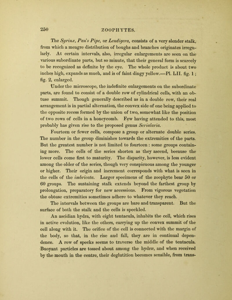The Syrinx, Paris Pipe, or Lendigera, consists of a very slender stalk, from which a meagre distribution of boughs and branches originates irregu- larly. At certain intervals, also, irregular enlargements are seen on the various subordinate parts, but so minute, that their general form is scarcely to be recognized as definite by the eye. The whole product is about two inches high, expands as much, and is of faint dingy yellow.—PL LII. fig. 1; fig. 2, enlarged. Under the microscope, the indefinite enlargements on the subordinate parts, are found to consist of a double row of cylindrical cells, with an ob- tuse summit. Though generally described as in a double row, their real arrangement is in partial alternation, the convex side of one being applied to the opposite recess formed by the union of two, somewhat like the position of two rows of cells in a honeycomb. Few having attended to this, most probably has given rise to the proposed genus Serialaria. Fourteen or fewer cells, compose a group or alternate double series. The number in the group diminishes towards the extremities of the parts. But the greatest number is not limited to fourteen: some groups contain- ing more. The cells of the series shorten as they ascend, because the lower cells come first to maturity. The disparity, however, is less evident among the older of the series, though very conspicuous among the younger or higher. Their origin and increment corresponds with what is seen in the cells of the imbricata. Larger specimens of the zoophyte bear 50 or 60 groups. The sustaining stalk extends beyond the farthest group by prolongation, preparatory for new accessions. From vigorous vegetation the obtuse extremities sometimes adhere to whatever they reach. The intervals between the groups are bare and transparent. But the surface of both the stalk and the cells is speckled. An ascidian hydra, with eight tentacula, inhabits the cell, which rises in active evolution, like the others, carrying up the convex summit of the cell along with it. The orifice of the cell is connected with the margin of the body, so that, in the rise and fall, they are in continual depen- dence. A row of specks seems to traverse the middle of the tentacula. Buoyant particles are tossed about among the liydrse, and when received by the mouth in the centre, their deglutition becomes sensible, from trans-