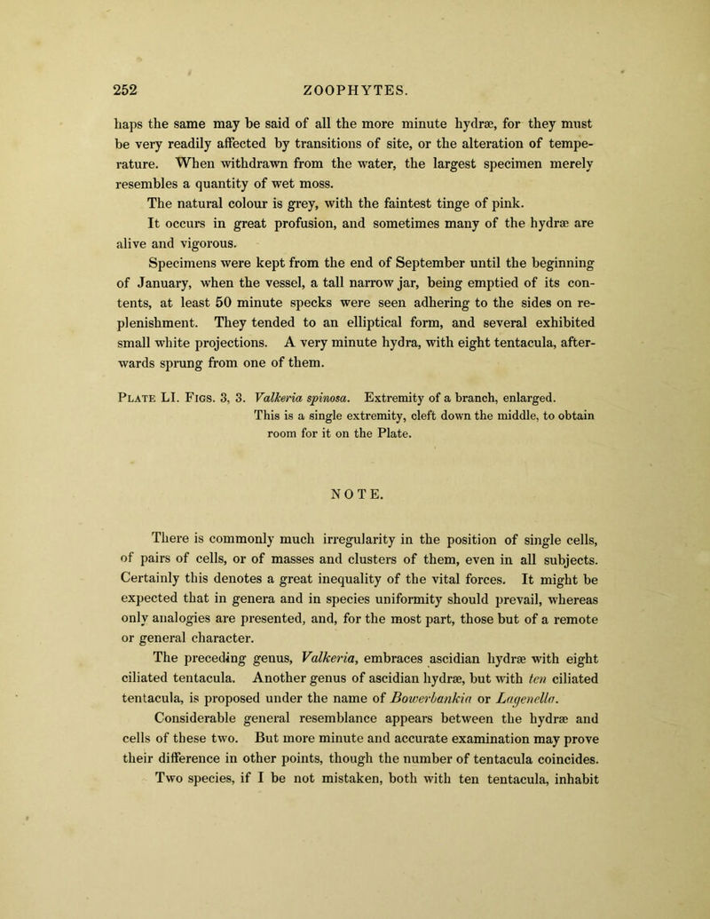 haps the same may be said of all the more minute hydrae, for they must be very readily affected by transitions of site, or the alteration of tempe- rature. When withdrawn from the water, the largest specimen merely resembles a quantity of wet moss. The natural colour is grey, with the faintest tinge of pink. It occurs in great profusion, and sometimes many of the hydrae are alive and vigorous. Specimens were kept from the end of September until the beginning of January, when the vessel, a tall narrow jar, being emptied of its con- tents, at least 50 minute specks were seen adhering to the sides on re- plenishment. They tended to an elliptical form, and several exhibited small white projections. A very minute hydra, with eight tentacula, after- wards sprung from one of them. Plate LI. Figs. 3, 3. Valkeria spinosa. Extremity of a branch, enlarged. This is a single extremity, cleft down the middle, to obtain room for it on the Plate. NOTE. There is commonly much irregularity in the position of single cells, of pairs of cells, or of masses and clusters of them, even in all subjects. Certainly this denotes a great inequality of the vital forces. It might be expected that in genera and in species uniformity should prevail, whereas only analogies are presented, and, for the most part, those but of a remote or general character. The preceding genus, Valkeria, embraces ascidian hydrae with eight ciliated tentacula. Another genus of ascidian hydrae, but with ten ciliated tentacula, is proposed under the name of Bowerbankia or Lagenclla. Considerable general resemblance appears between the hydrae and cells of these two. But more minute and accurate examination may prove their difference in other points, though the number of tentacula coincides. Two species, if I be not mistaken, both with ten tentacula, inhabit