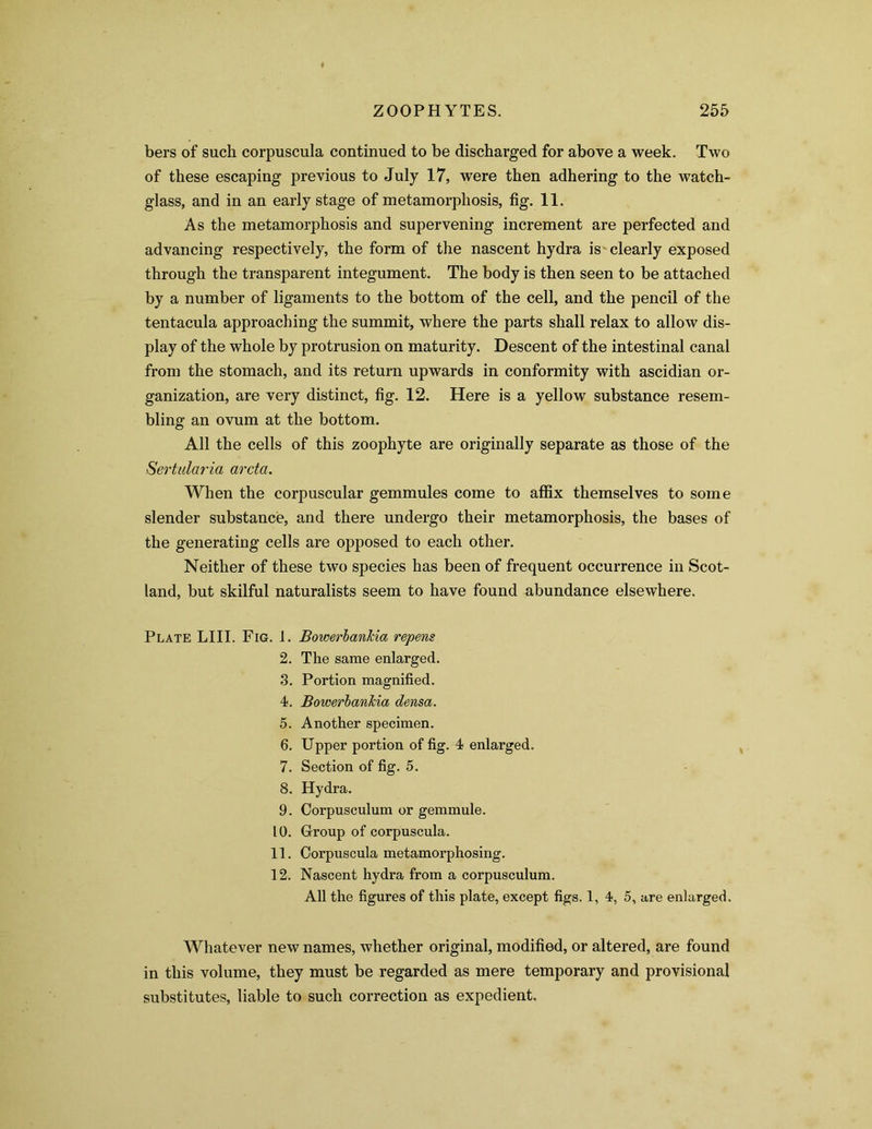 bers of such corpuscula continued to be discharged for above a week. Two of these escaping previous to July 17, were then adhering to the watch- glass, and in an early stage of metamorphosis, fig. 11. As the metamorphosis and supervening increment are perfected and advancing respectively, the form of the nascent hydra is clearly exposed through the transparent integument. The body is then seen to be attached by a number of ligaments to the bottom of the cell, and the pencil of the tentacula approaching the summit, where the parts shall relax to allow dis- play of the whole by protrusion on maturity. Descent of the intestinal canal from the stomach, and its return upwards in conformity with ascidian or- ganization, are very distinct, fig. 12. Here is a yellow substance resem- bling an ovum at the bottom. All the cells of this zoophyte are originally separate as those of the Sertularia arcta. When the corpuscular gemmules come to affix themselves to some slender substance, and there undergo their metamorphosis, the bases of the generating cells are opposed to each other. Neither of these two species has been of frequent occurrence in Scot- land, but skilful naturalists seem to have found abundance elsewhere. Plate LIII. Fig. 1. 2. 3. 4. 5. 6. 7. 8. 9. 10. 11. 12. BowerlanJcia repens The same enlarged. Portion magnified. BowerbanJcia densa. Another specimen. Upper portion of fig. 4 enlarged. Section of fig. 5. Hydra. Corpusculum or gemmule. Group of corpuscula. Corpuscula metamorphosing. Nascent hydra from a corpusculum. All the figures of this plate, except figs. 1, 4, 5, are enlarged. % Whatever new names, whether original, modified, or altered, are found in this volume, they must be regarded as mere temporary and provisional substitutes, liable to such correction as expedient.