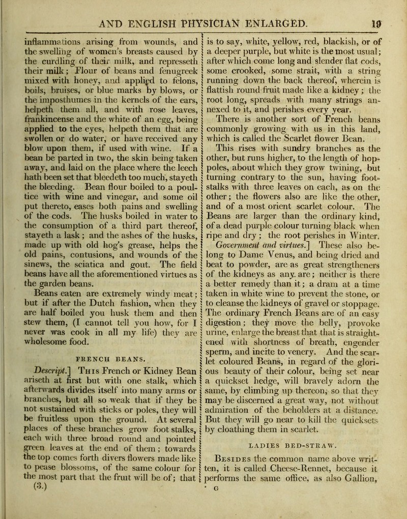 inflammations arising from wounds, and the swelliiig of w'omen’s breasts caused by the curdling of their milk, and represseth their milk; Elour of beans and fenugreek mixed with honey, and applied to felons, boils, bruises, or blue marks by blows, or the imposthumes in the kernels of the ears, helpeth them all, and with rose leaves, frankincense and the white of an egg, being applied to the eyes, helpeth them that are swollen or do water, or have received any blow upon them, if used with wine. If a bean be parted in two, the skin being taken away, and laid on the place where the leech hath been set that bleedeth too much, stayeth the bleeding. Bean flour boiled to a poul- tice with wine and vinegar, and some oil put thereto, eases both pains and swelling of the cods. The husks boiled in water to the consumption of a third part thereof, stayeth a lask ; and the ashes of the husks, made up with old hog's grease, helps the old pains, contusions, and wounds of the sinews, the sciatica and gout. The field beans have all the aforementioned virtues as the garden beans. Beans eaten are extremely windy meat; but if after the Dutch fashion, when they are half boiled you husk them and then stew them, (I cannot tell you how, for I never was cook in all my life) they are wholesome food. FRENCH BEANS. Hescript.'] Th i s French or Kidney Bean ariseth at first but with one stalk, which afterwards divides itself into many arms or branches, but all so weak that if they be not sustained with sticks or poles, they will be fruitless upon the ground. At several places of these branches grow foot stalks, each with three broad round and pointed green leaves at the end of them; towards the top comes forth divers flowers made like to pease blossoms, of the same colour for the most part that the fruit will be of; that (•5-) is to say, white, yellow, red, blackish, or of a deeper purple, but white is the most usual; after which come long and slender flat cods, some crooked, some strait, with a string running down the back thereof, wherein is flattish round fruit made like a kidney; the root long, spreads with many strings an- nexed to it, and perishes every year. There is another sort of French beans commonly growing with us in this land, which is called the Scarlet flower Bean. This rises with sundry branches as the other, but runs higher, to the length of hop- poles, about which they grow twining, but turning contrary to the sun, having foot- stalks with three leaves on each, as on the other; the flowers also are like the other, and of a most orient scarlet colour. The Beans are larger than the ordinary kind, of a dead purple colour turning black when ripe and dry ; the root perishes in Winter. Government and virtues.^ These also be- long to Dame Venus, and being dried and beat to powder, are as great strengtheners of the kidneys as any. are; neither is there a better remedy than it; a dram at a time taken in white wine to prevent the stone, or to cleanse the kidneys of gravel or stoppage. The ordinary French Beans are of an easy digestion; they move the belly, provoke urine, enlarge the breast that that is straight- ened with shortness of breath, engender sperm, and incite to venery. And the scar- let coloured Beans, in regard of the glori- ous beauty of their colour, being set near a quickset hedge, will bravely adorn the same, by climbing up thereon^ so that they may be discerned a great way, not without admiration of the beholders at a distance. But they will go near to kill the quicksets by cloathing them in scarlet. LADIES BED-STRAW. I Besides the common name above writ- I ten, it is called Cheese-Rennet, because it \ jDerforms the same office, as also Gallion, • G