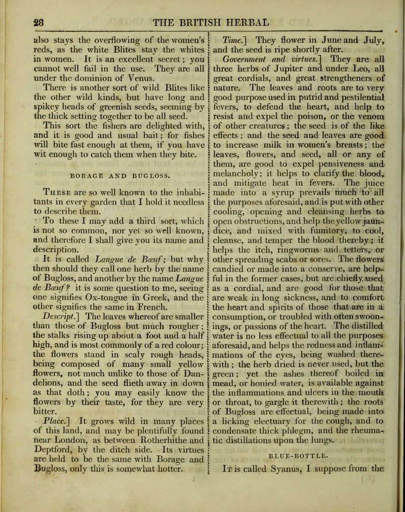 also stays the overflowing of the women’s ! reds, as the white Blites stay the whites } in women. It is an excellent secret; you cannot well fail in the use. They are all under the dominion of Venus. There is another sort of wild Blites like the other wild kinds, but have long and spikey heads of greenish seeds, seeming by the thick settino; together to be all seed. This sort the fishers are delighted with, and it is good and usual bait; for fishes will bite fast enough at them, if you liave wit enough to catch them when they bite. BORAGE AND BUGLOSS. These are so well known to the inhabi- tants in every garden that I hold it needless to describe them. • To these I may add a third sort, which is not so common, nor yet so well known, and therefore I ^hall give you its name and description. It is called Langiie de Boetif; but why then should they call one herb by the name of Bugloss, and another by the name Langue de Boeuf? it is some question to me, seeing one signifies Ox-tongue in Greek, and the other signifies the same in French. Descript.'] The leaves whereof are smaller than those of Bugloss but much rougher; the stalks rising up about a foot and a half high, and is most commonly of a red colour; the flowers stand in scaly rough heads, being composed of many small yellow | flowers, not much unlike to those of Dan- x delions, and the seed flieth away in down \ as that doth; you may easily know the | flowers by their taste, for they are very \ bitter. ; Place.] It grows wild in many places \ of this land, and may be plentifully found \ near London, as between Rotherhithe and j Deptford, by the ditch side. Its virtues * are held to be the same with Borage and J Bugloss, only this is somewhat hotter. | Time.] They flower in June and July, and the seed is ripe shortly after. Governme?it and virtues.] They are all three herbs of Jupiter and under Leo, all great cordials, and great strengtheners of nature. The leaves and roots are to very good purpose used in putrid and pestilential fevers, to defend the heart, and help to resist and expel the poison, or the venom of other creatures; the seed is of the like effects ; and the seed and leaves are good to increase milk in women’s breasts; the leaves, flowers, and seed, all or any of them, are good to expel pensiveness and melancholy; it helps to clarify the blood, and mitigate heat in fevers. The juice made into a syrup prevails much to all the purposes aforesaid, and is put with other cooling, opening and cleansing herbs to open obstructions, and help the yellow jaun- dice, and mixed with fumitory, to cool, cleanse, and temper the blood thereby; it helps the itch, ringwoniis and tetters, or other spreading scabs or sores. The flowers candied or made into a conserve, are help- ful in the former cases, but are ,chiefly (used as a cordial, and are good for those that are weak in long sickness, and to comfort the heart and spirits of those that are in a consumption, or troubled with often swoon- ings, or passions of the heart. The distilled Water is no less effectual to all the purposes aforesaid, and helps the redness and inflam- mations of the eyes, being washed there- with ; the herb dried is never used, but the green; yet the ashes thereof boiled in mead, or honied Avater, is available against the inflammations and ulcers in the mouth or throat, to gargle it therewith; the roots of Bugloss are effectual, being made into a licking electuary for the cough, and to condensate thick phlegm, and the rheuma- tic distillations upon the lungs. BLUE-BOTTLE. It is called Syanus, I suppose from the