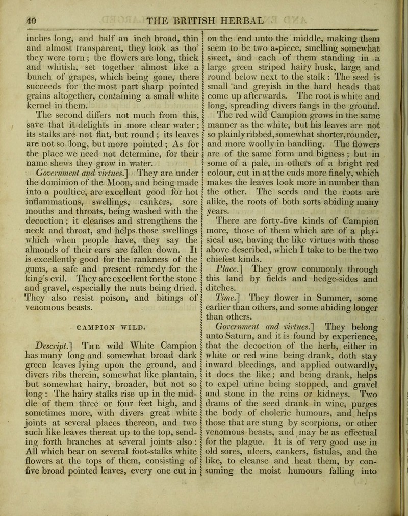 inches long, and half an inch broad, thin and almost transparent, they look as tho they were torn ; the flowers are long, thick and whitish, set together almost like a bunch of grapes, which being gone, there succeeds for the most part sharp pointed grains altogether, containing a small white kernel in them. The second differs not much from this, save that it delights in more clear water; its stalks are not flat, but round ; its leaves are not so long, but more pointed ; As for the place we need not determine, for their name shews they grow in water. Government and virtues^ They are under the dominion of the Moon, and being made into a poultice, are excellent good for hot inflammations, swellings, cankers, sore mouths and throats, being washed with the decoction; it cleanses and strengthens the neck and throat, and helps those swellings which when people have, they say the almonds of their ears are fallen down. It is excellently good for the rankness of the gums, a safe and present remedy for the king’s evil. They are excellent for the stone and gravel, especially the nuts being dried. They also resist poison, and bitings of venomous beasts. CAMPION WILD. Descript.The wild White Campion has many long and somewhat broad dark green leaves lying upon the ground, and divers ribs therein, somewhat like plantain, but somewhat hairy, broader, but not so long : The hairy stalks rise up in the mid- dle of them three or four feet high, and sometimes more, with divers great white joints at several places thereon, and two such like leaves thereat Up to the top, send- ing forth branches at several joints also : All which bear on several foot^stalks white flowers at the tops of them, consisting of five broad pointed leaves, every one cut in on the end unto the middle, making them seem to be two a-piece, smelling somewhat sweet, and each of them standins; in a large green striped hairy husk, large and round below next to the stalk : The seed is small and greyish in the hard heads that come up afterwards. The root is white and long, spreading divers fangs in the ground. The red wild Campion grows in tiie same manner as the white, but his leaves are not so plainly ribbed, somewhat shorter, rounder, and more woolly in handling. The flowers are of the same form and bigness; but in some of a pale, in others of a bright red colour, cut in at the ends more finely, which makes the leaves look more in number than the other. The seeds and the roots are alike, the roots of both sorts abiding many years. There are forty-five kinds of Campion more, those of them which are of a phy- sical use, having the like virtues wfith those above described, which I take to be the two chiefest kinds. Place.~\ They groAV commonly through this land by fields and hedge-sides and ditches. Time.~\ They flower in Summer, some earlier than others, and some abiding longer than others. Government and virUies.'] They belong unto Saturn, and it is found by experience, that the decoction of the herb, either in white 01' red wine being drank, doth stay inward bleedings, and applied outwardly, it does the like; and being drank, helps to expel urine being stopped, and gravel and stone in the reins or kidnej^s. Two drams of the seed drank in wine, purges the body of choleric humours, andAielps those that are stung by scorpions, or other venomous beasts, and ^ may be as effectual for the plague. It is of very good use in old sores, ulcers, cankers, fistulas, and the like, to cleanse and heat them, by con- suming the moist humours falling into